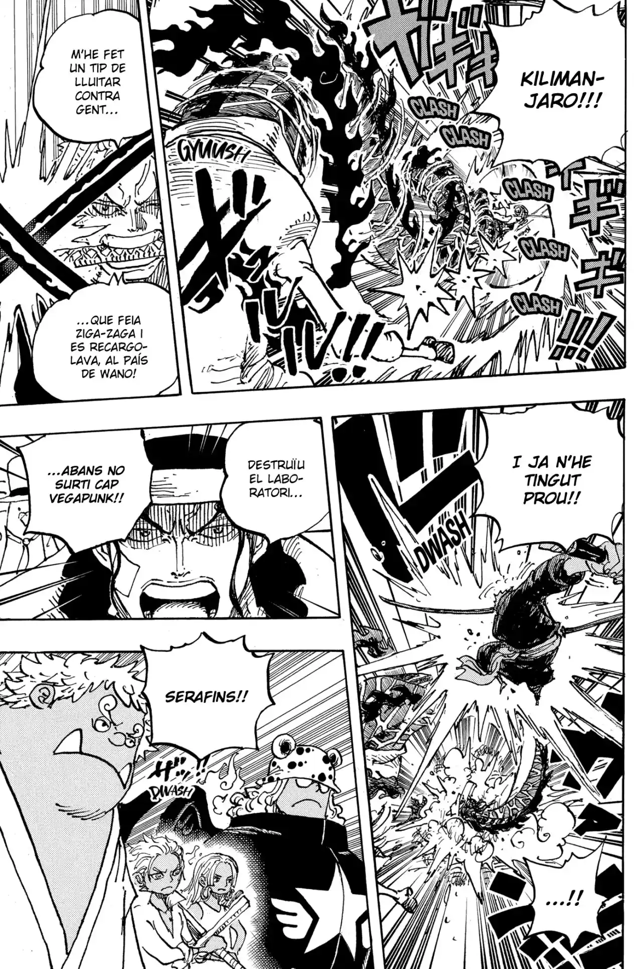 One Piece (Català) - Capítulo 1072 - Página 14 - LectorTMOo