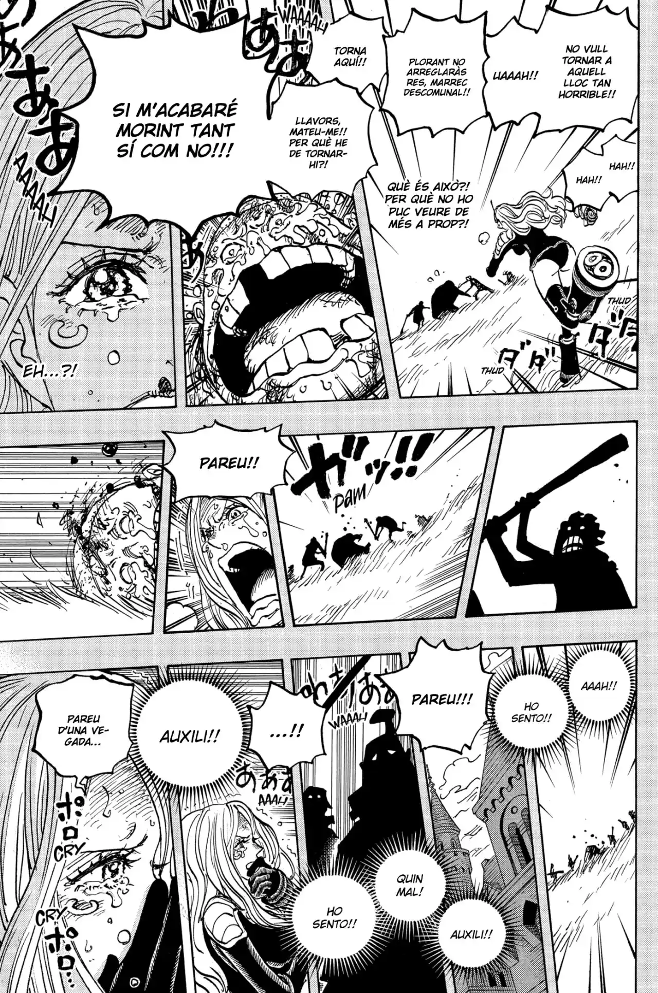 One Piece (Català) - Capítulo 1074 - Página 12 - LectorTMOo