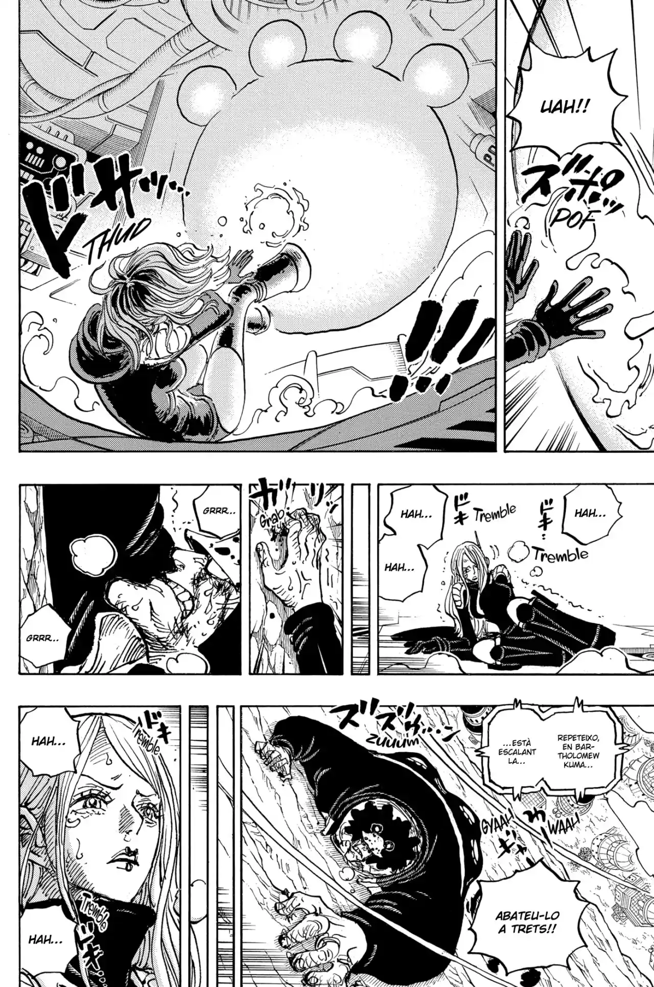 One Piece (Català) - Capítulo 1074 - Página 13 - LectorTMOo