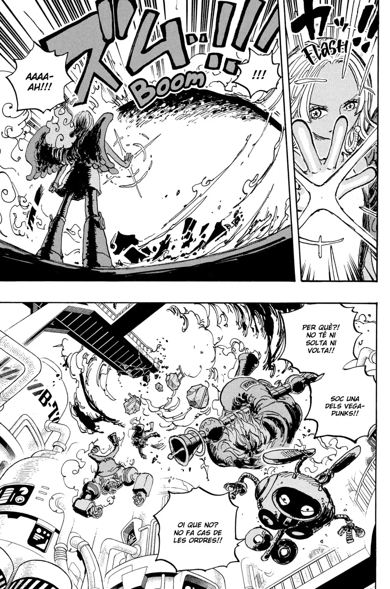One Piece (Català) - Capítulo 1075 - Página 11 - LectorTMOo