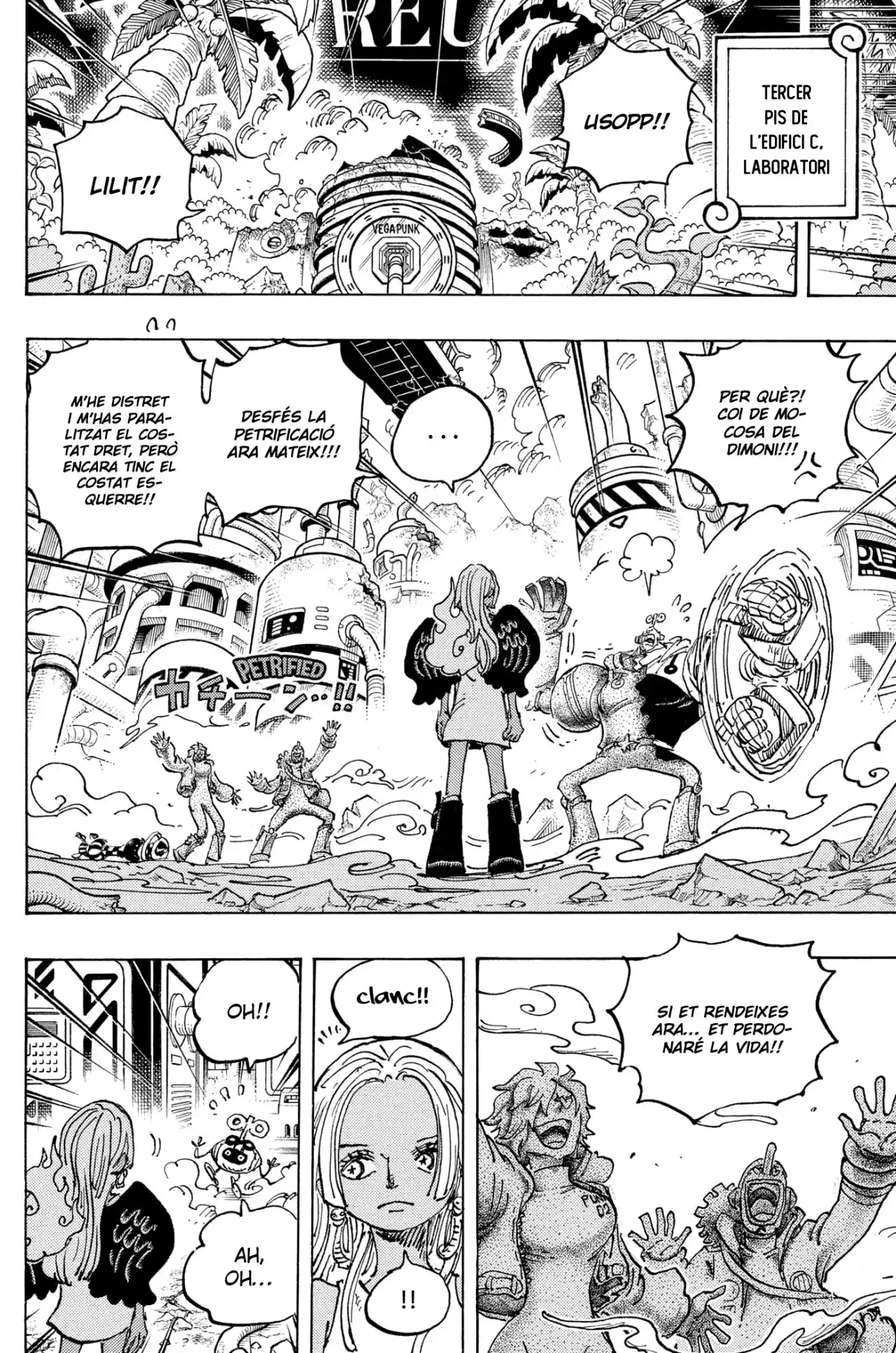 One Piece (Català) - Capítulo 1078 - Página 8 - LectorTMOo
