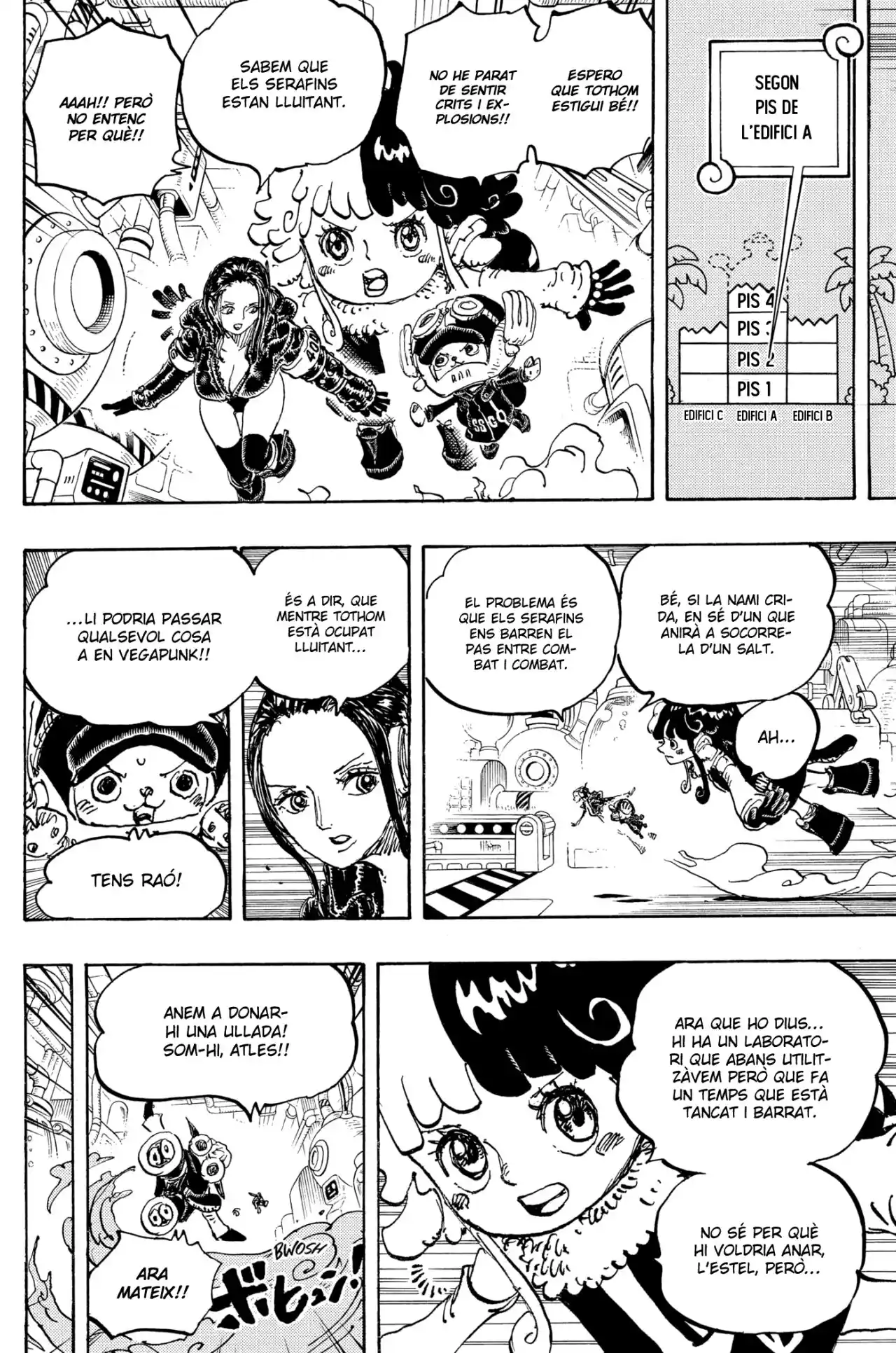 One Piece (Català) - Capítulo 1078 - Página 11 - LectorTMOo