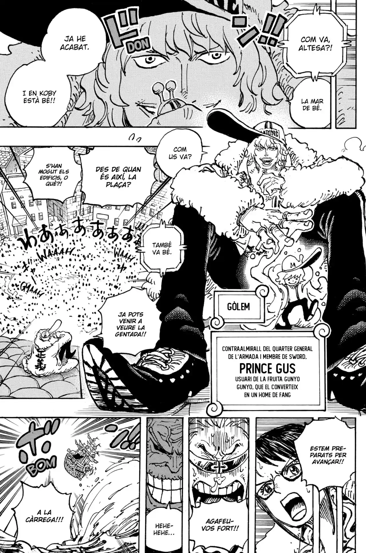 One Piece (Català) - Capítulo 1080 - Página 19 - LectorTMOo