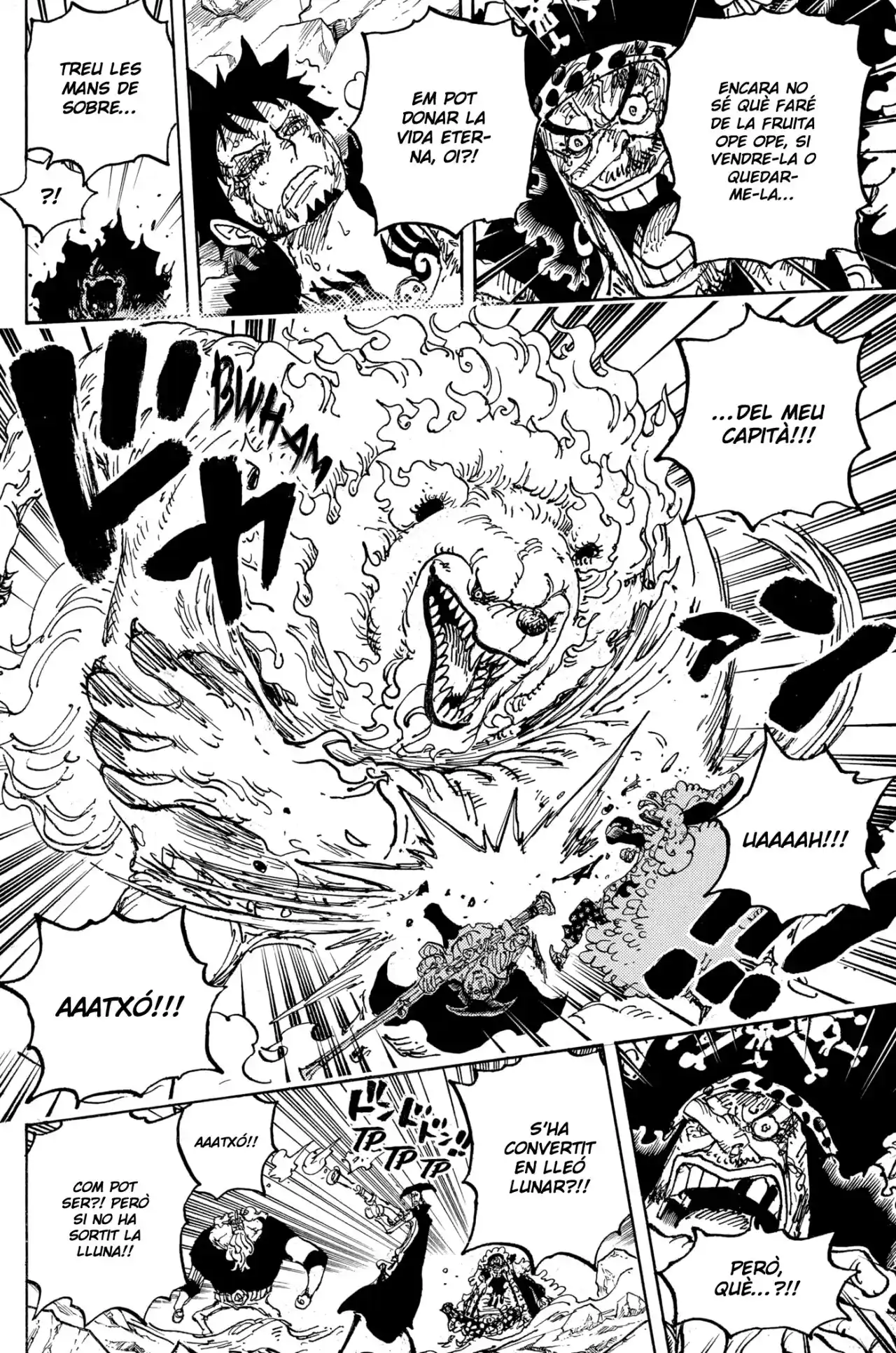 One Piece (Català) - Capítulo 1081 - Página 14 - LectorTMOo