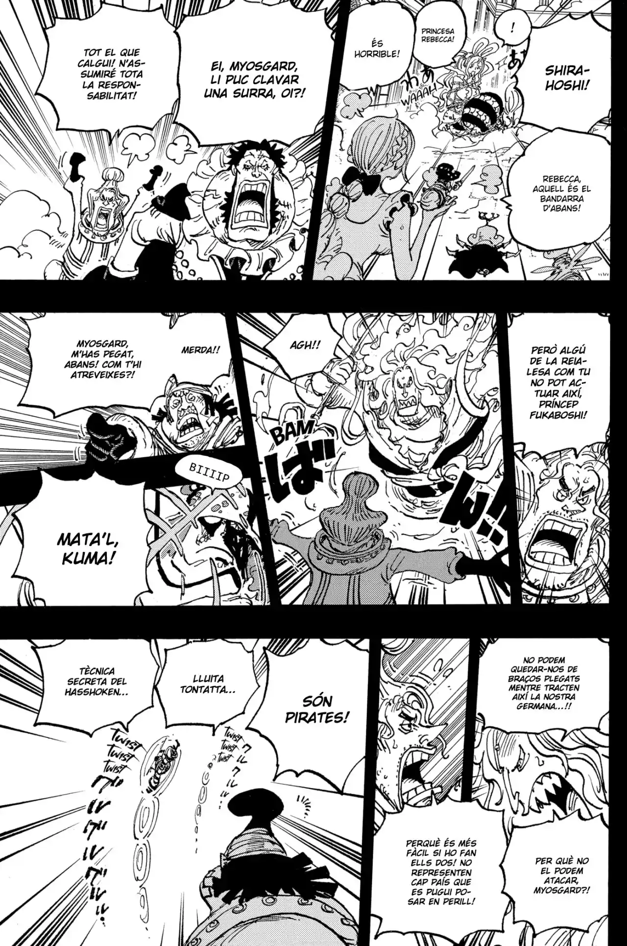 One Piece (Català) - Capítulo 1084 - Página 12 - LectorTMOo