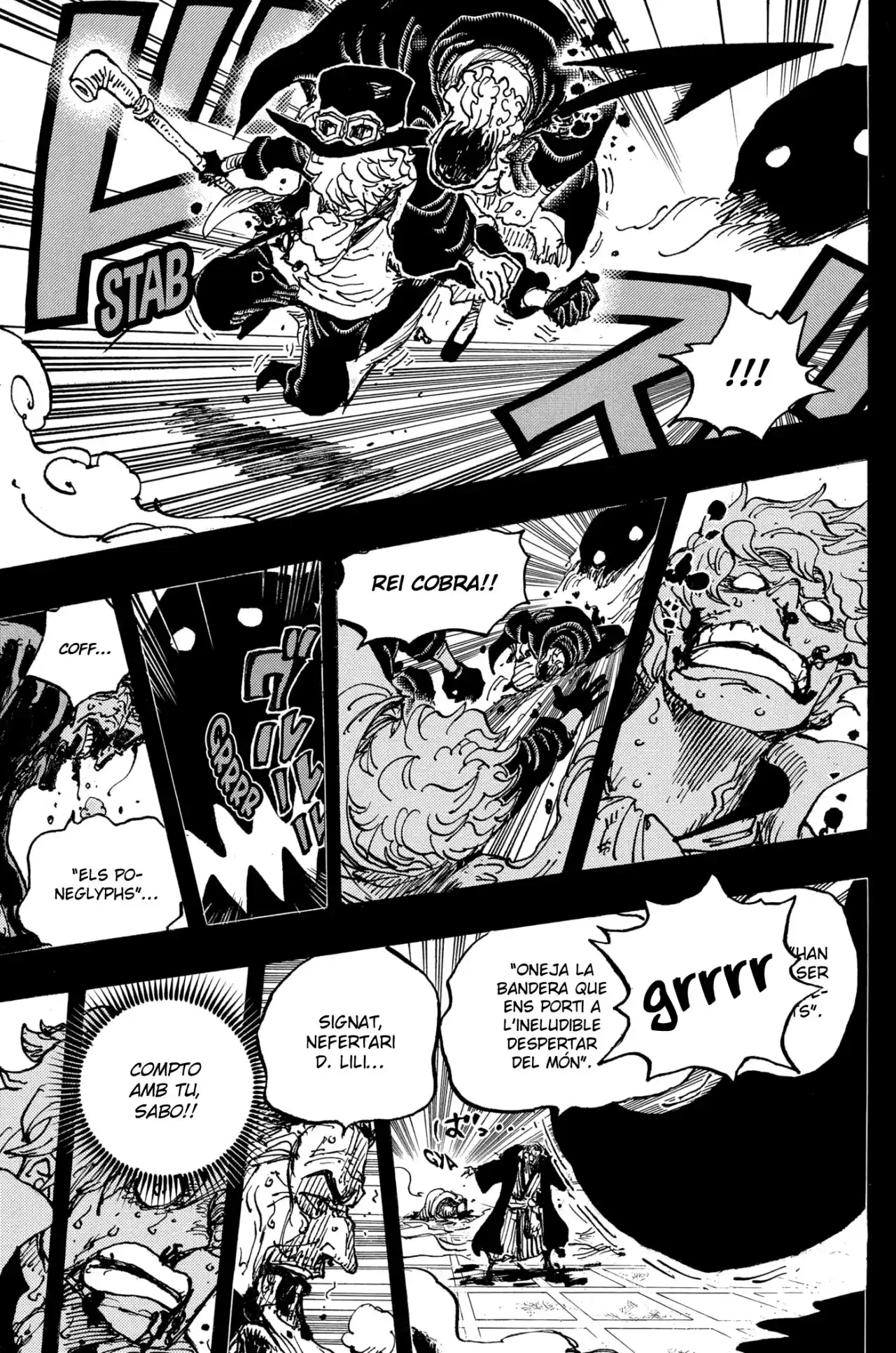 One Piece (Català) - Capítulo 1085 - Página 9 - LectorTMOo