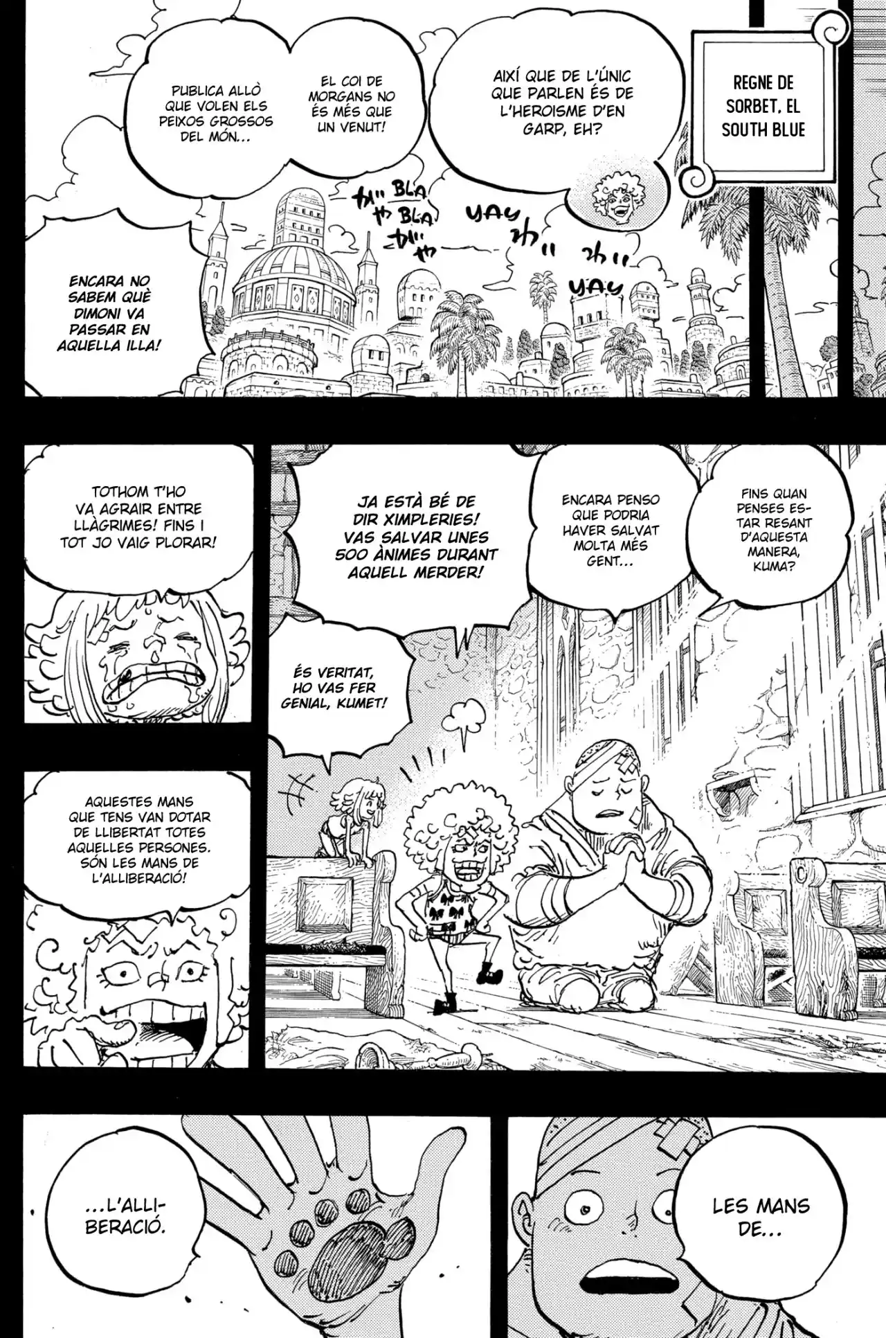 One Piece (Català) - Capítulo 1096 - Página 11 - LectorTMOo