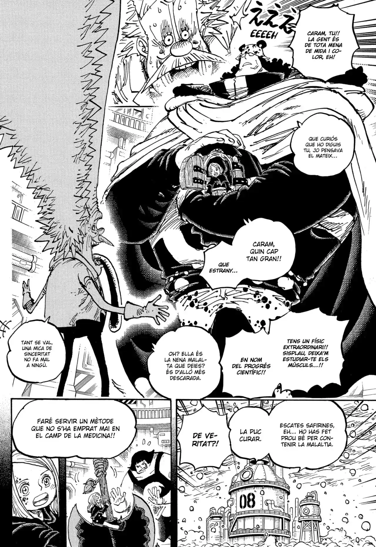 One Piece (Català) - Capítulo 1099 - Página 13 - LectorTMOo