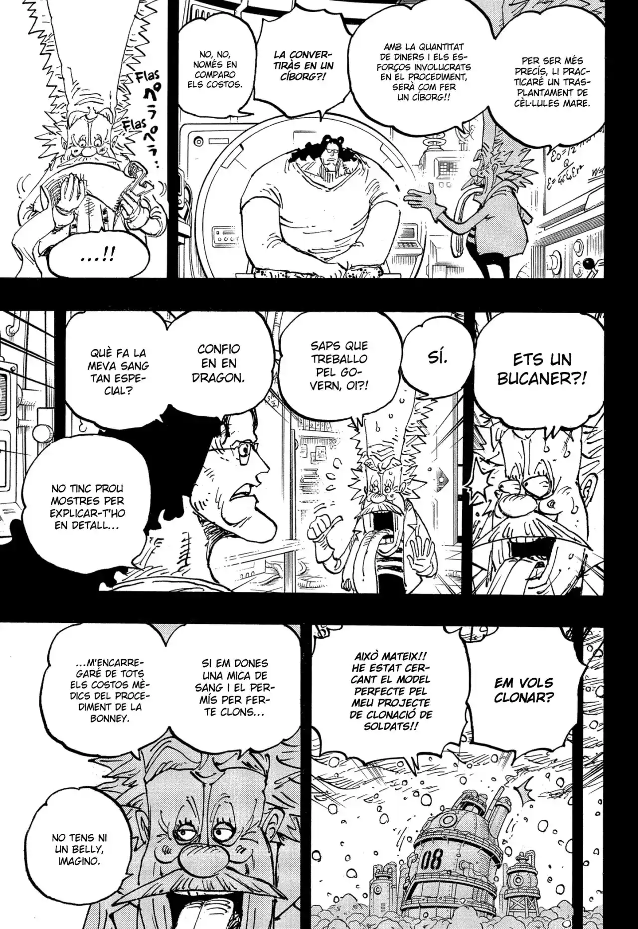 One Piece (Català) - Capítulo 1099 - Página 14 - LectorTMOo