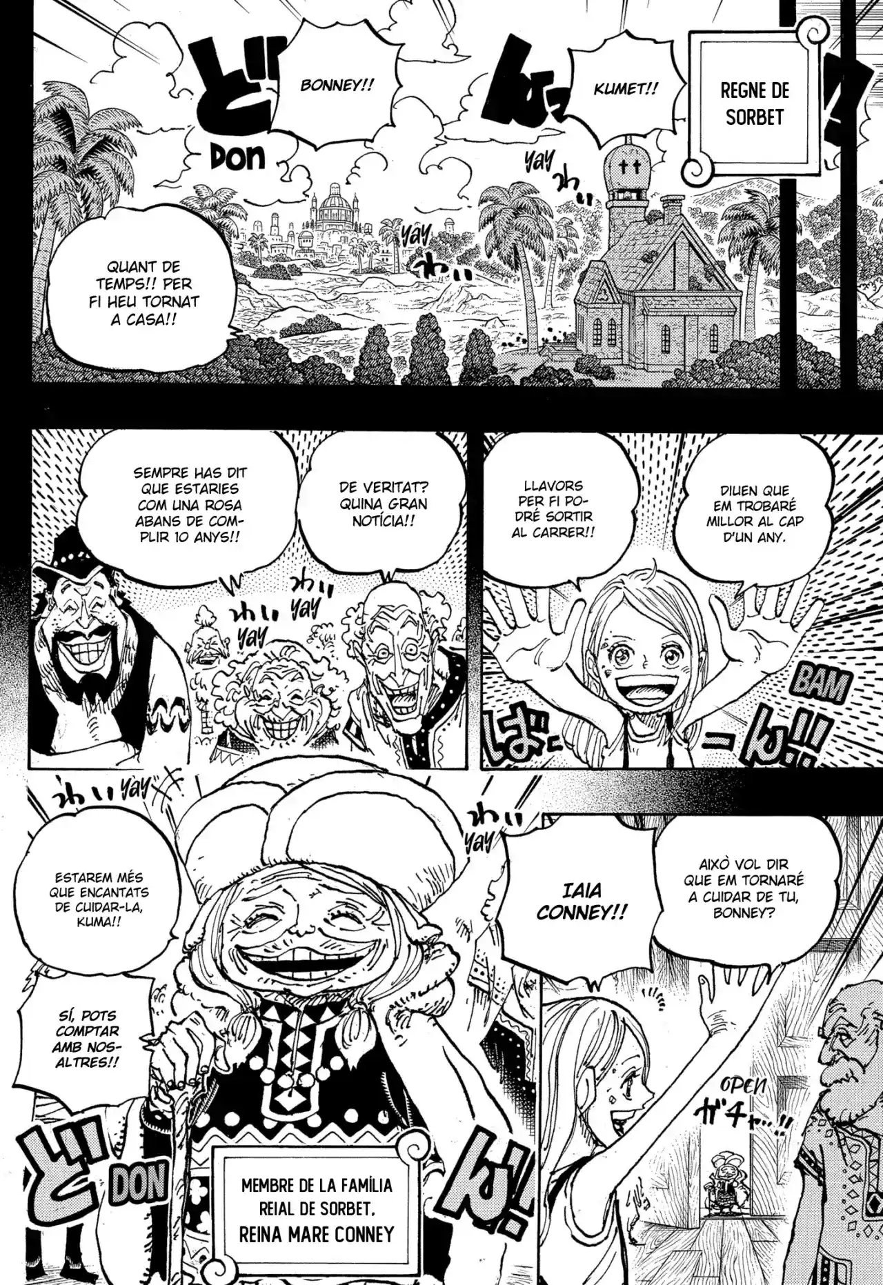One Piece (Català) - Capítulo 1100 - Página 12 - LectorTMOo