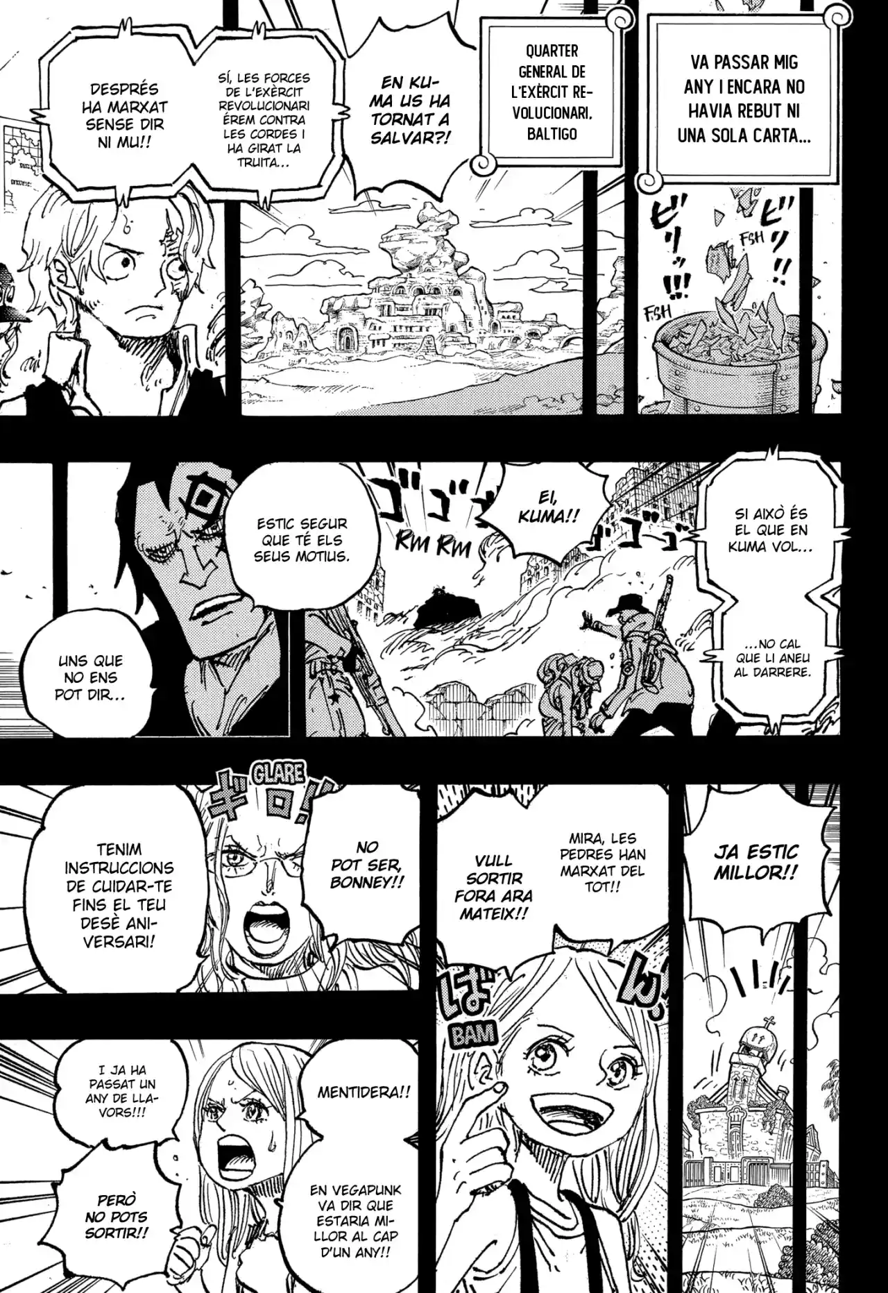 One Piece (Català) - Capítulo 1101 - Página 13 - LectorTMOo