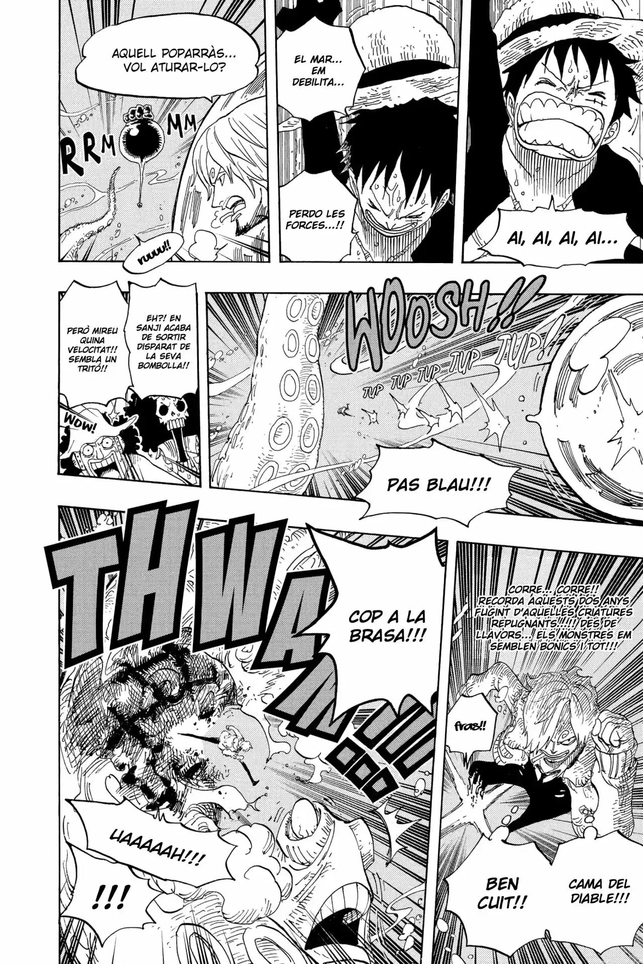 One Piece (Català) - Capítulo 605 - Página 12 - LectorTMOo