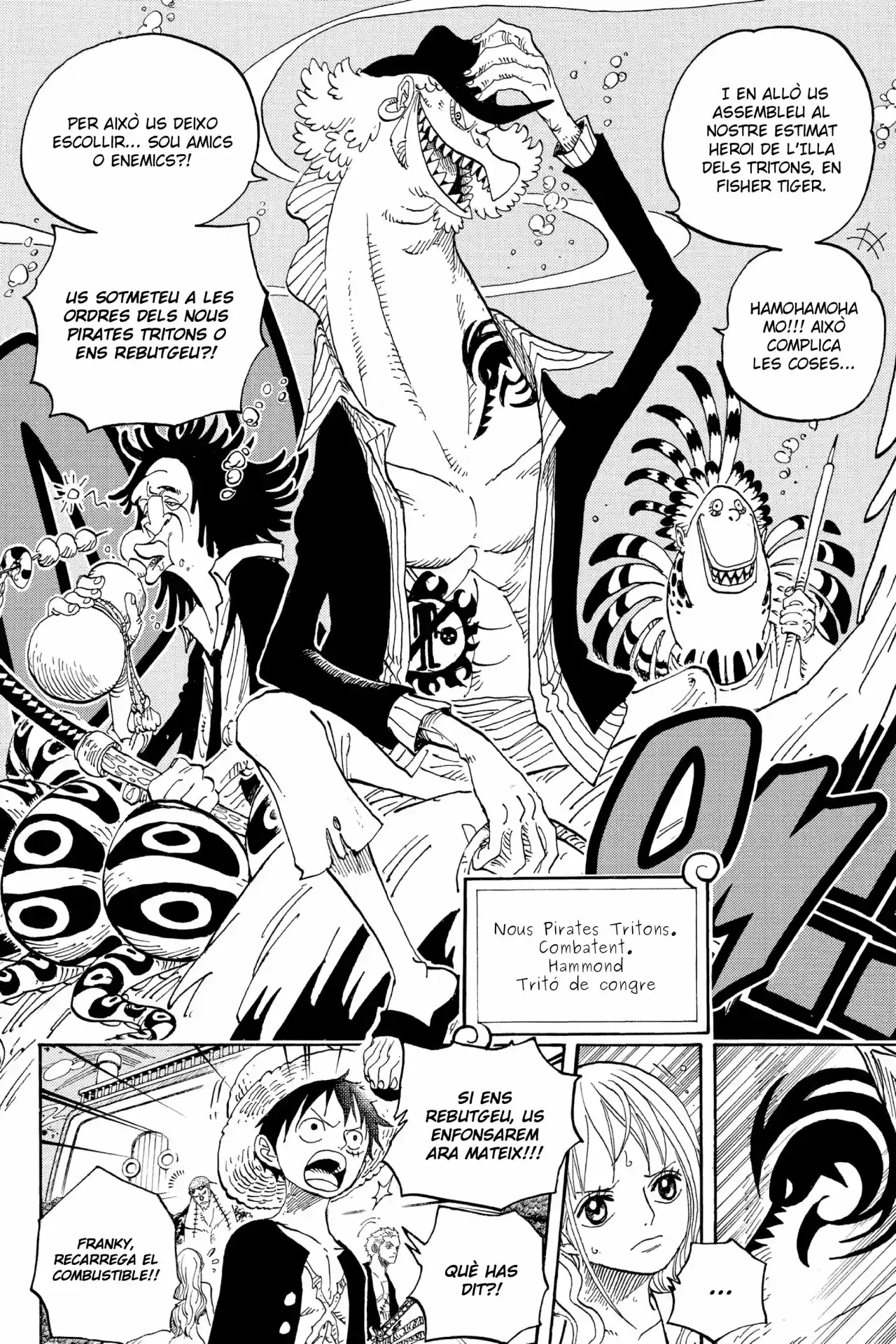 One Piece (Català) - Capítulo 607 - Página 12 - LectorTMOo
