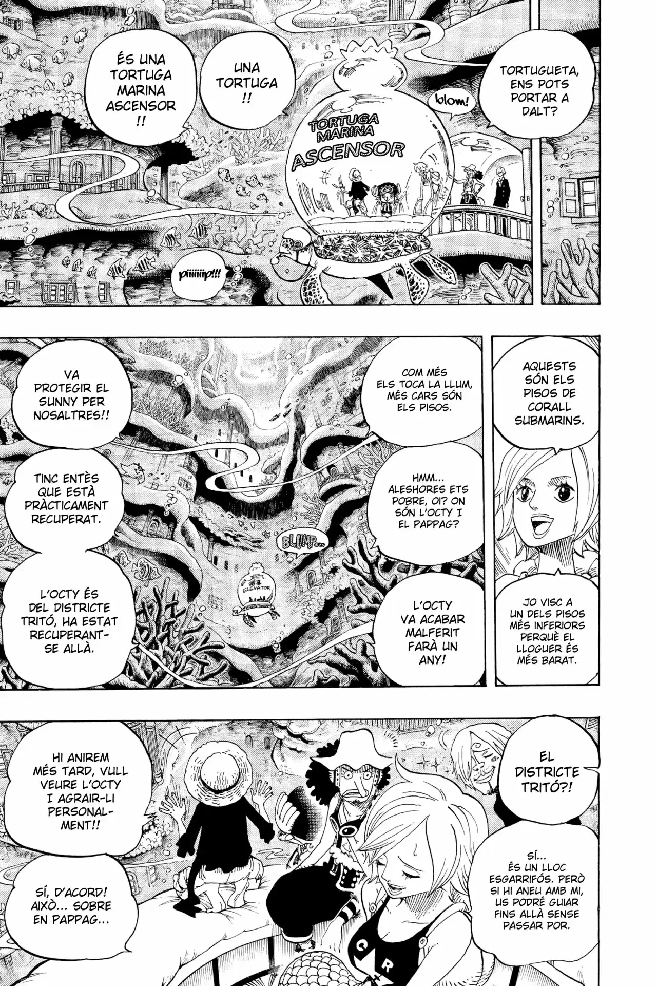 One Piece (Català) - Capítulo 608 - Página 13 - LectorTMOo