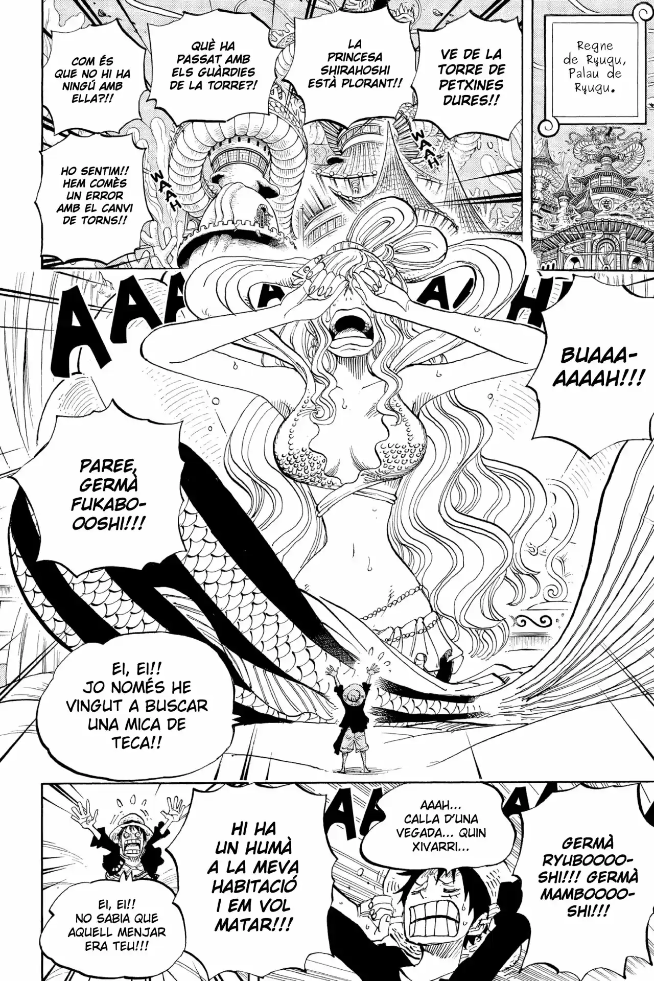 One Piece (Català) - Capítulo 613 - Página 4 - LectorTMOo