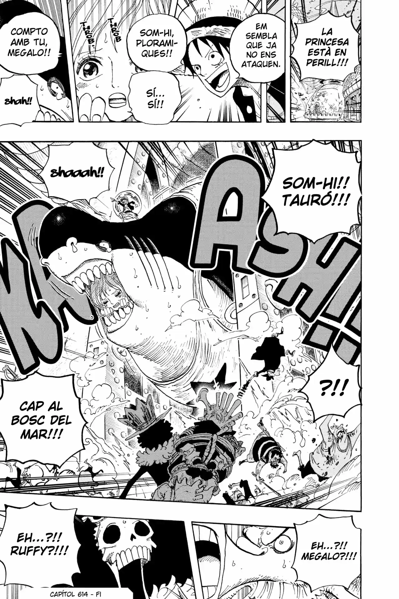 One Piece (Català) - Capítulo 614 - Página 16 - LectorTMOo