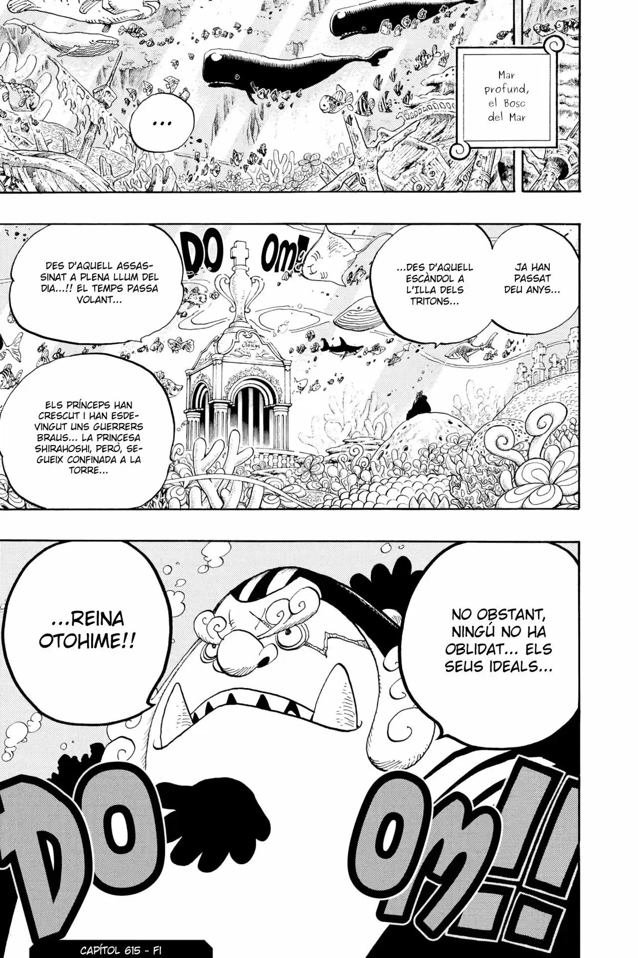 One Piece (Català) - Capítulo 615 - Página 17 - LectorTMOo