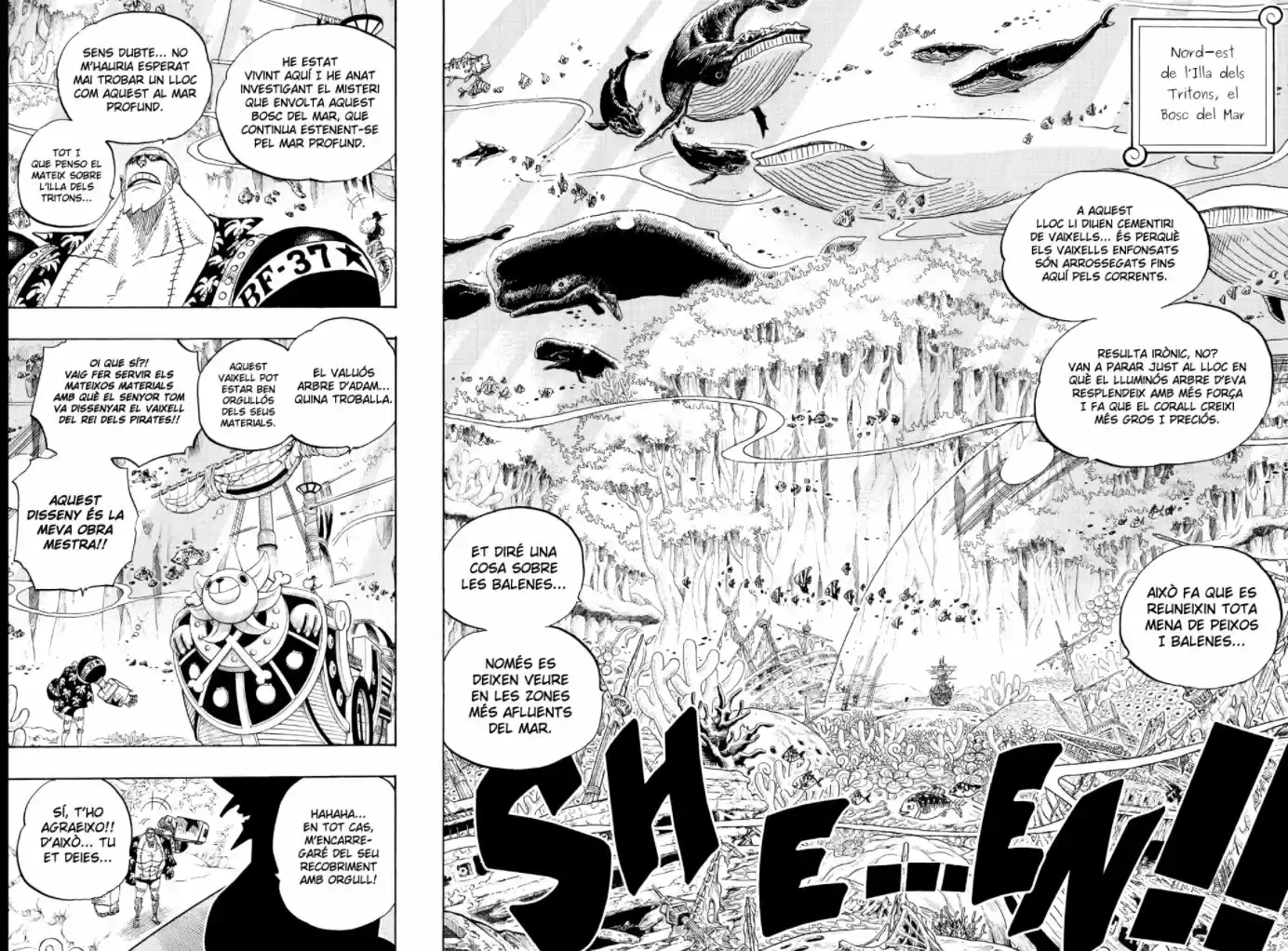One Piece (Català) - Capítulo 616 - Página 9 - LectorTMOo