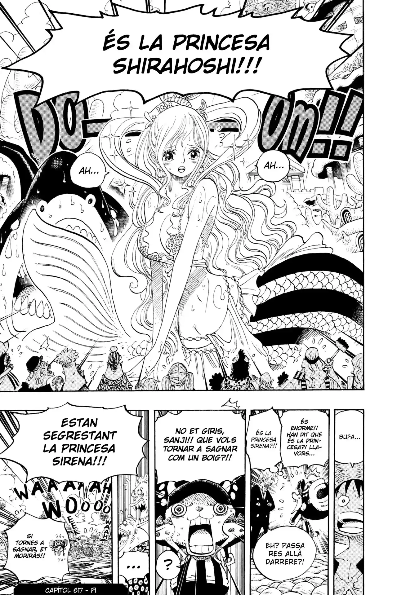 One Piece (Català) - Capítulo 617 - Página 17 - LectorTMOo