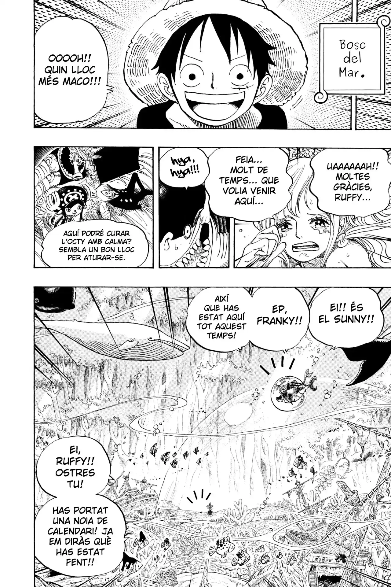 One Piece (Català) - Capítulo 619 - Página 9 - LectorTMOo