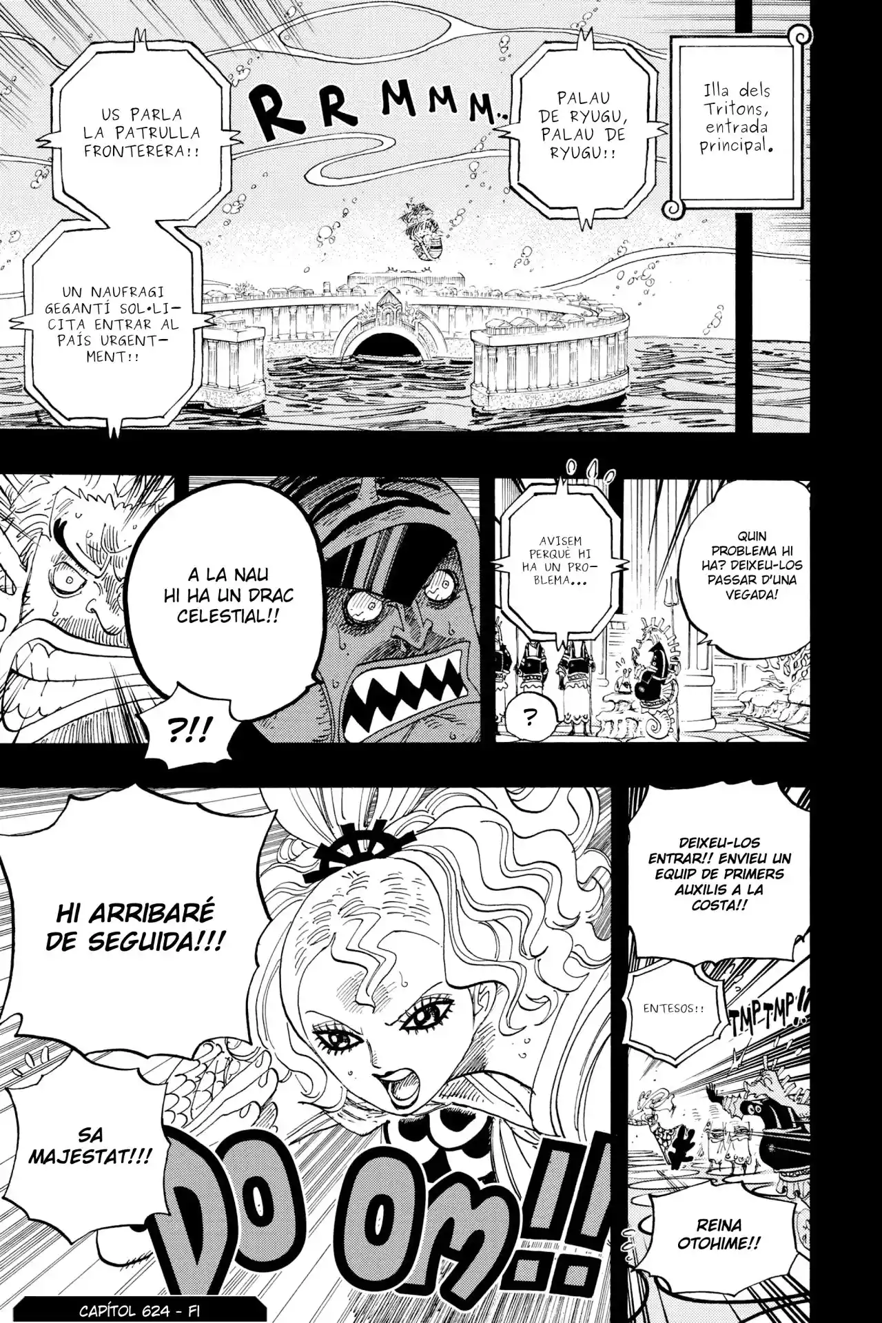 One Piece (Català) - Capítulo 624 - Página 17 - LectorTMOo