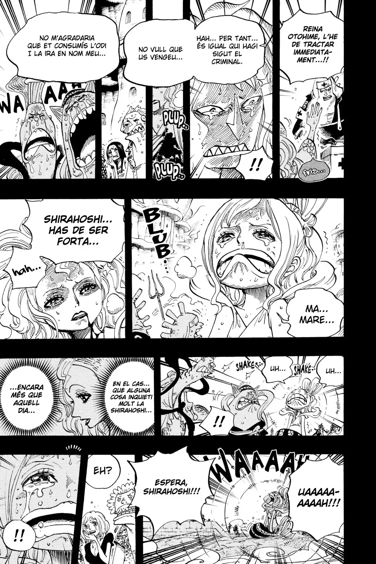One Piece (Català) - Capítulo 626 - Página 17 - LectorTMOo
