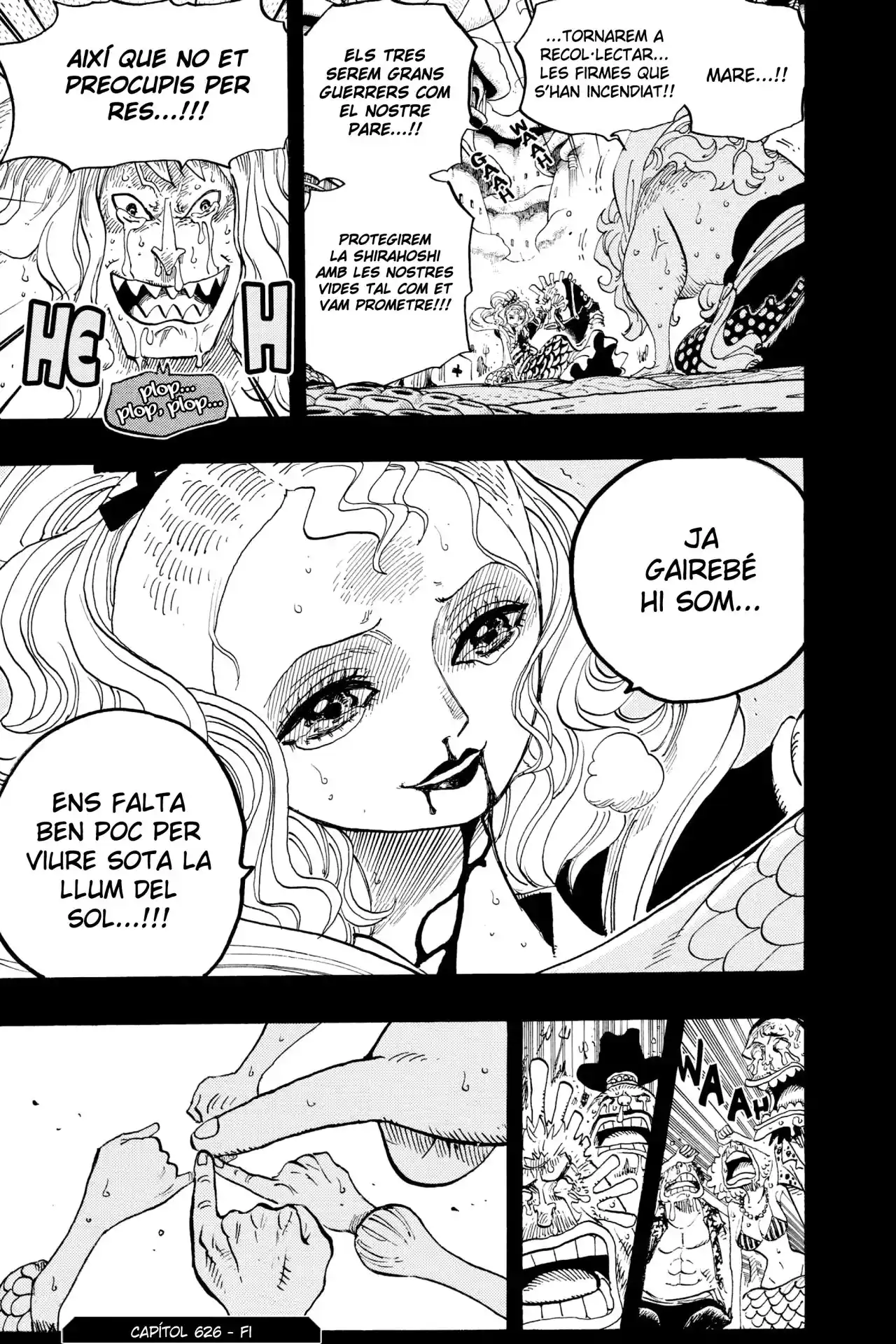One Piece (Català) - Capítulo 626 - Página 19 - LectorTMOo