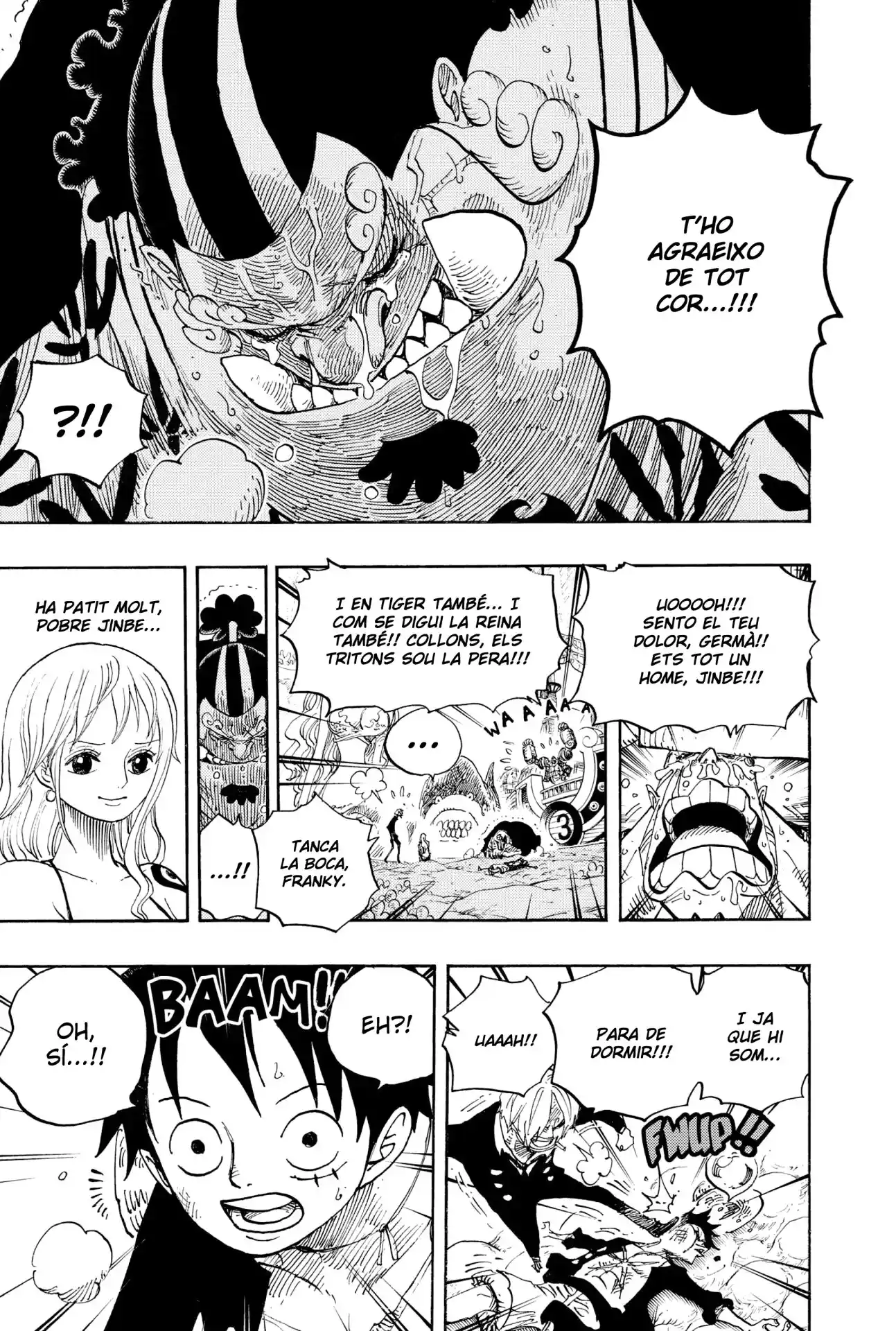 One Piece (Català) - Capítulo 627 - Página 14 - LectorTMOo