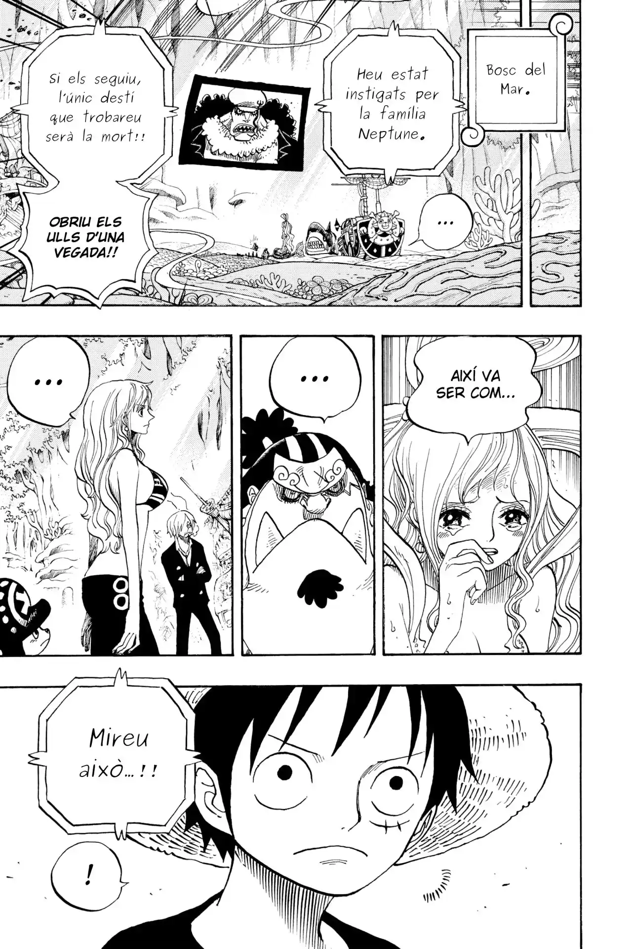 One Piece (Català) - Capítulo 628 - Página 7 - LectorTMOo