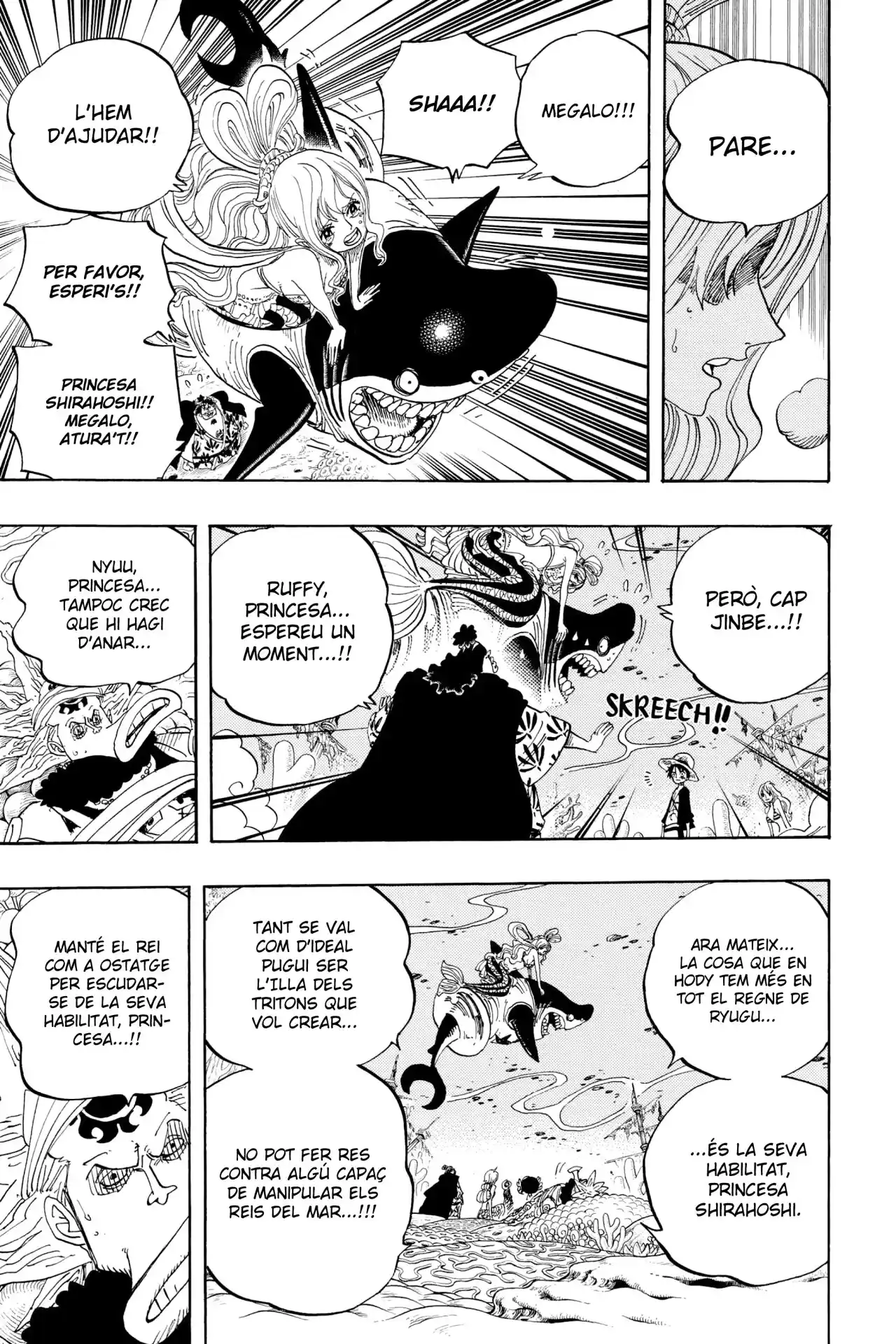 One Piece (Català) - Capítulo 628 - Página 17 - LectorTMOo