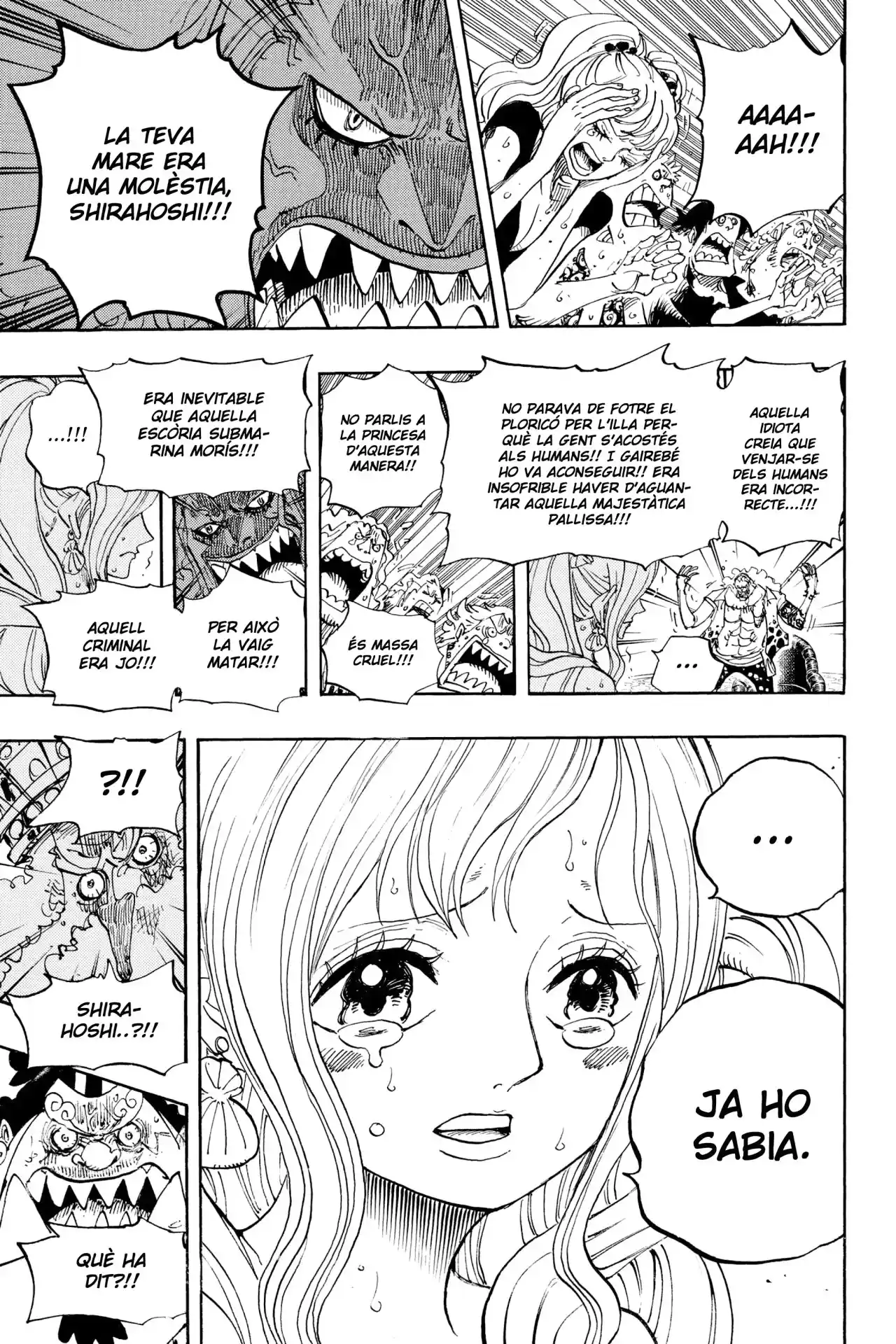 One Piece (Català) - Capítulo 632 - Página 15 - LectorTMOo