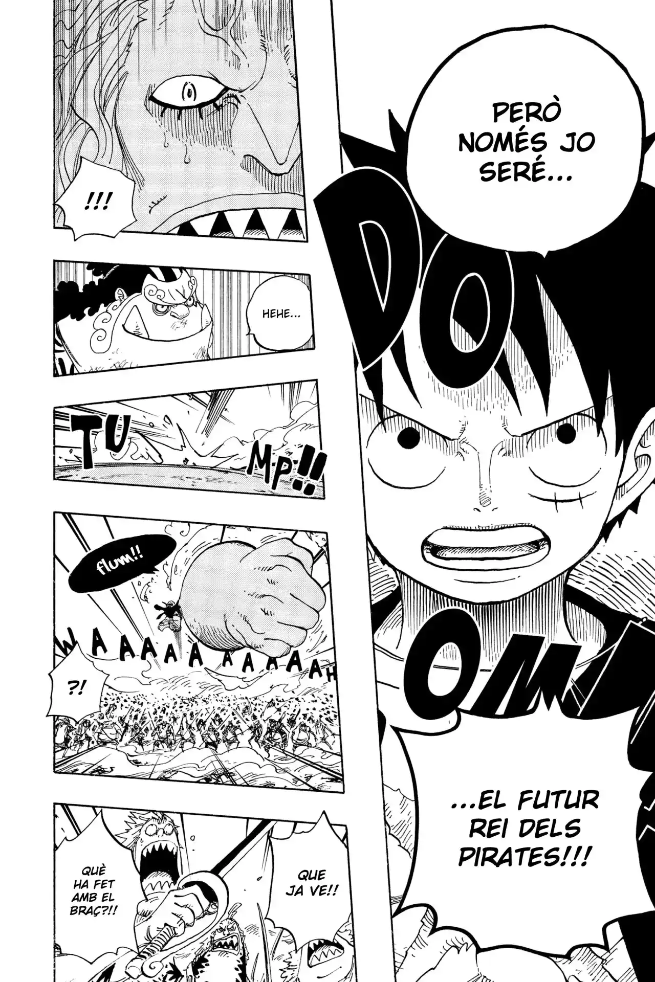 One Piece (Català) - Capítulo 634 - Página 15 - LectorTMOo