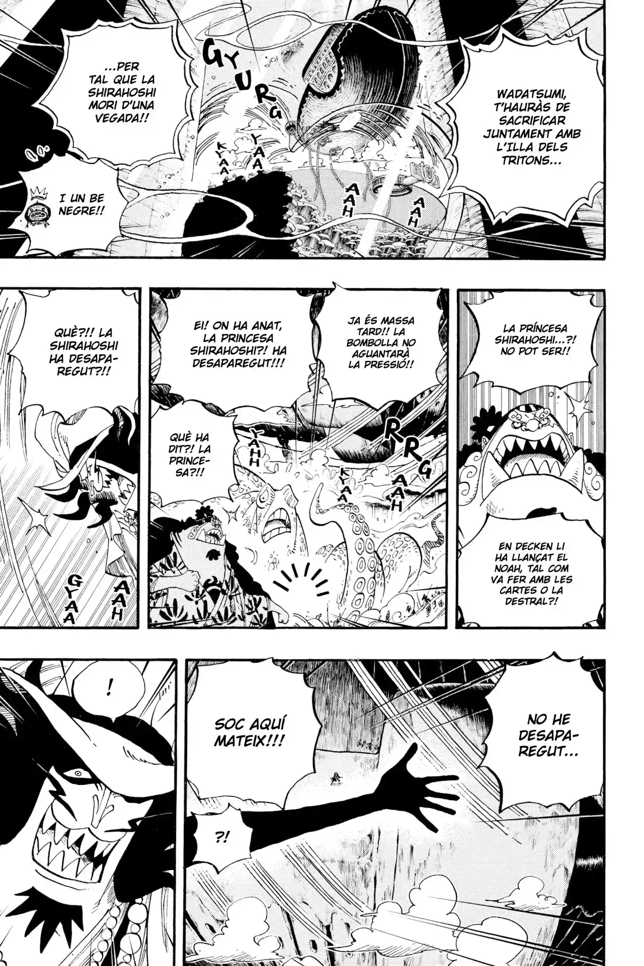 One Piece (Català) - Capítulo 637 - Página 13 - LectorTMOo