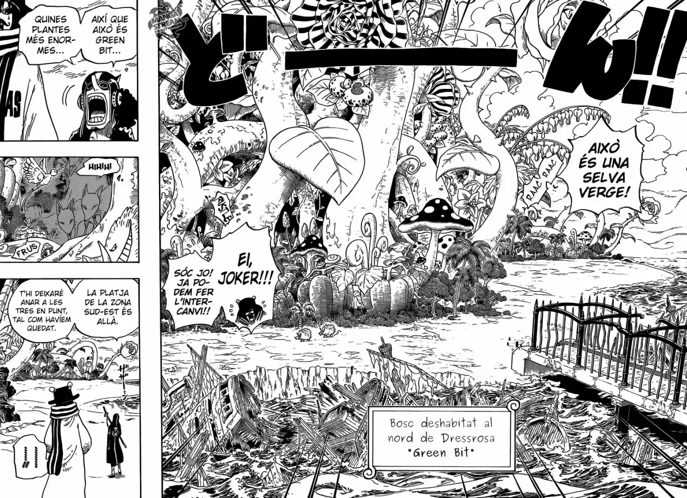 One Piece (Català) - Capítulo 710 - Página 10 - LectorTMOo