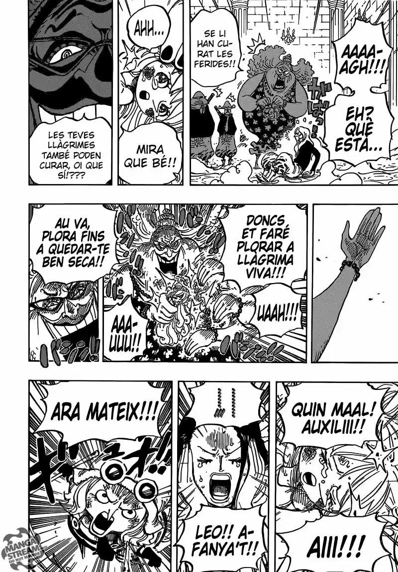 One Piece (Català) - Capítulo 774 - Página 9 - LectorTMOo