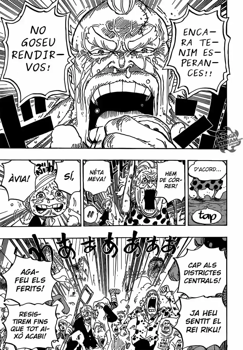 One Piece (Català) - Capítulo 785 - Página 15 - LectorTMOo