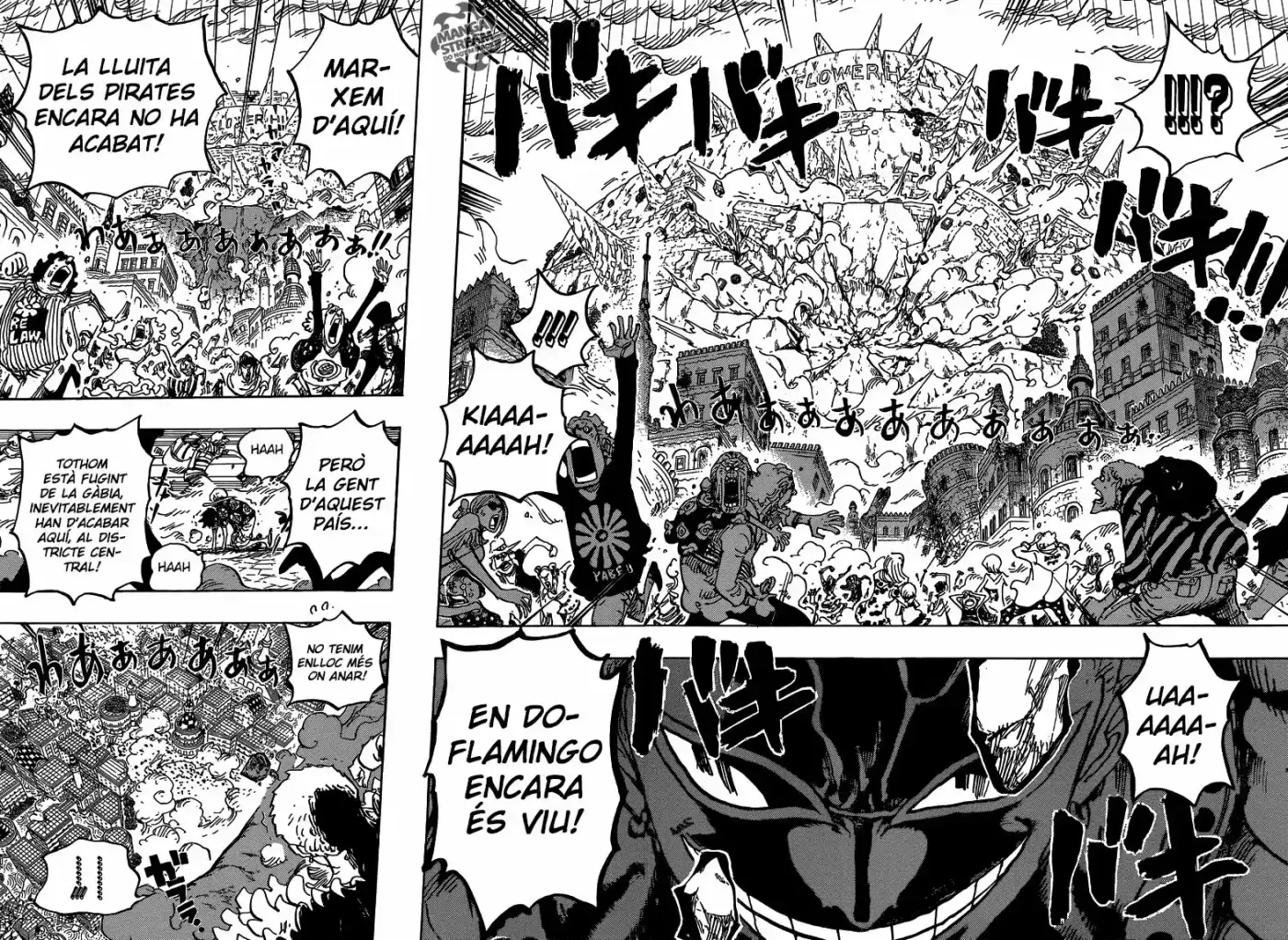 One Piece (Català) - Capítulo 786 - Página 10 - LectorTMOo