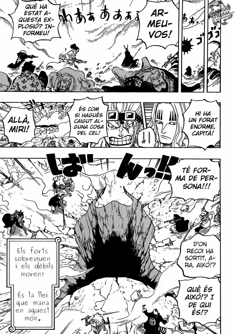 One Piece (Català) - Capítulo 795 - Página 11 - LectorTMOo