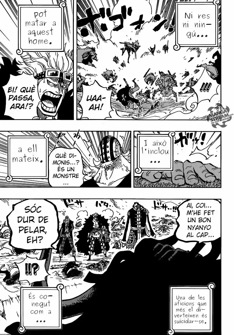 One Piece (Català) - Capítulo 795 - Página 15 - LectorTMOo