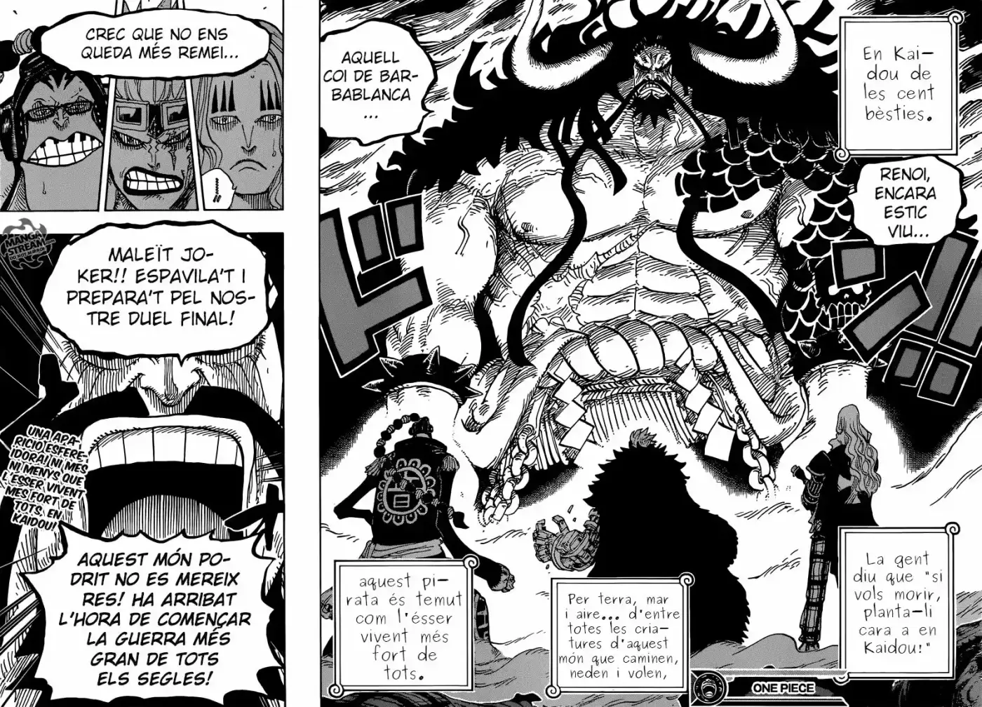 One Piece (Català) - Capítulo 795 - Página 16 - LectorTMOo