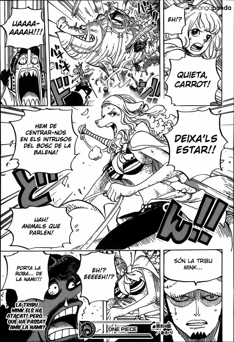One Piece (Català) - Capítulo 804 - Página 17 - LectorTMOo