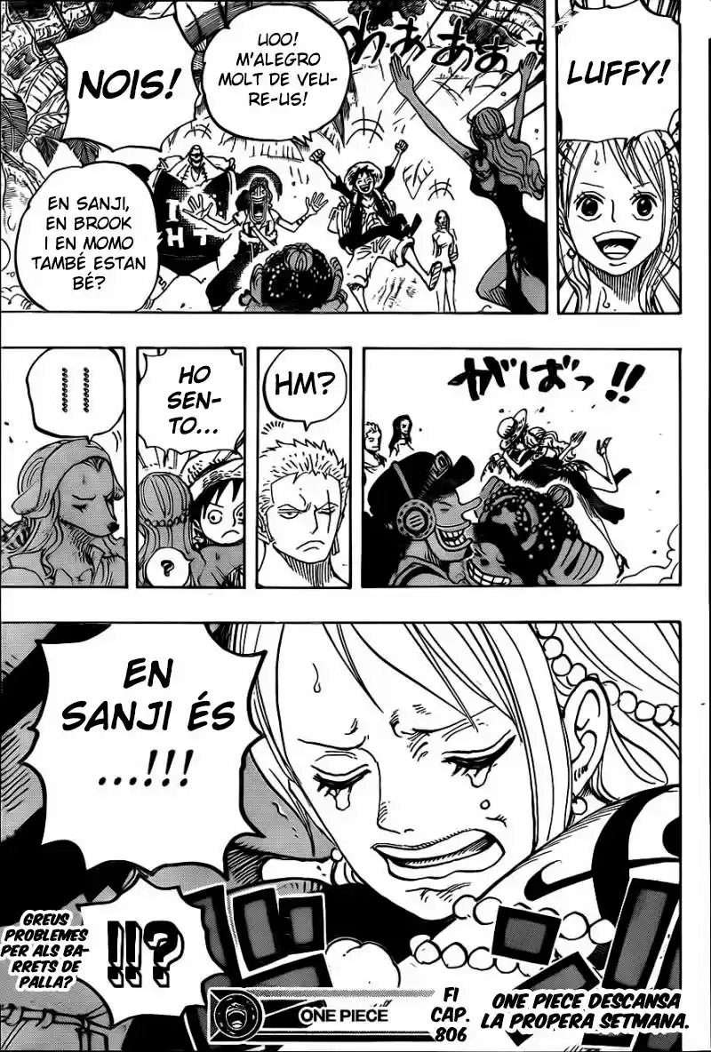 One Piece (Català) - Capítulo 806 - Página 16 - LectorTMOo