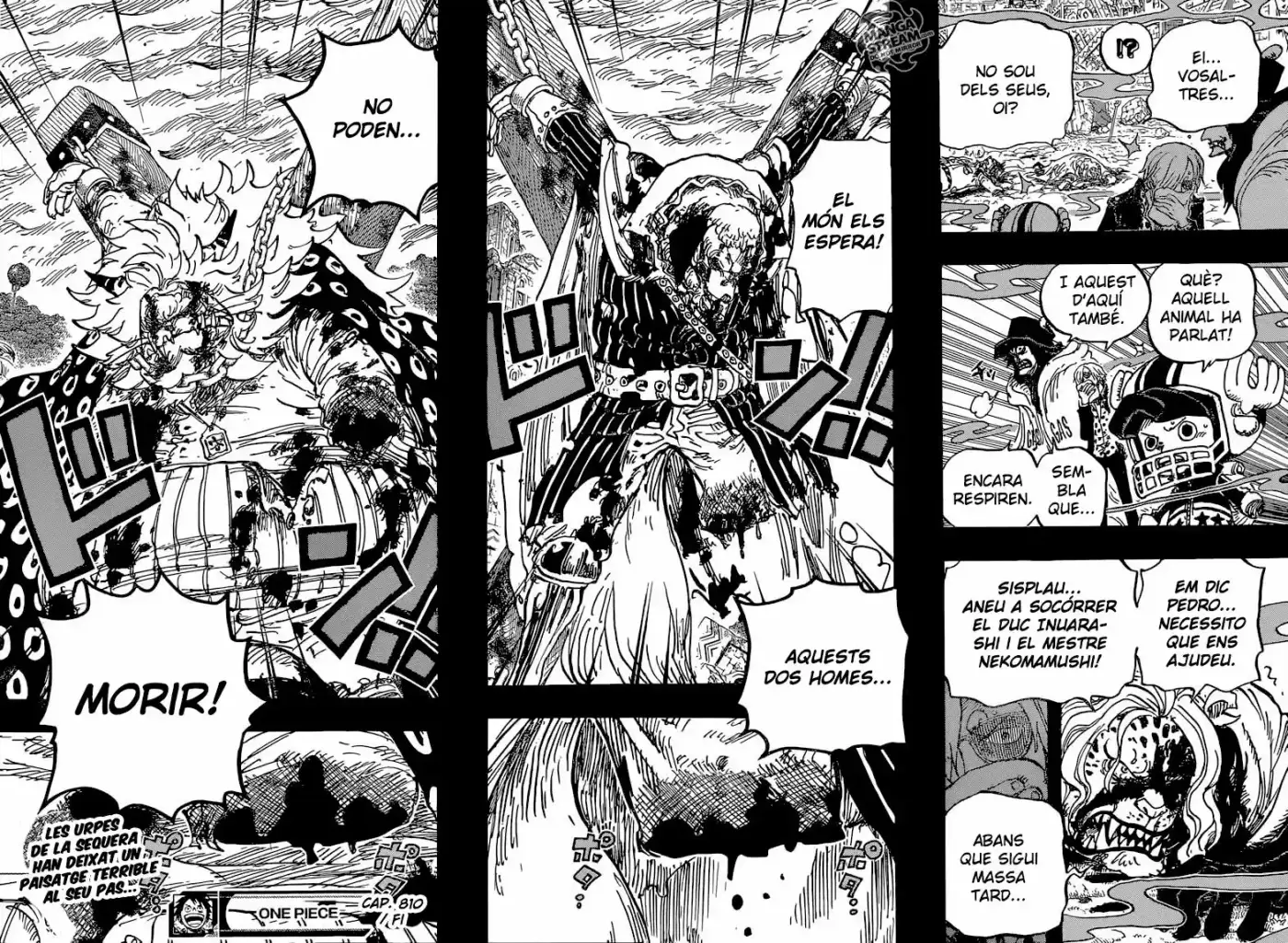 One Piece (Català) - Capítulo 810 - Página 16 - LectorTMOo