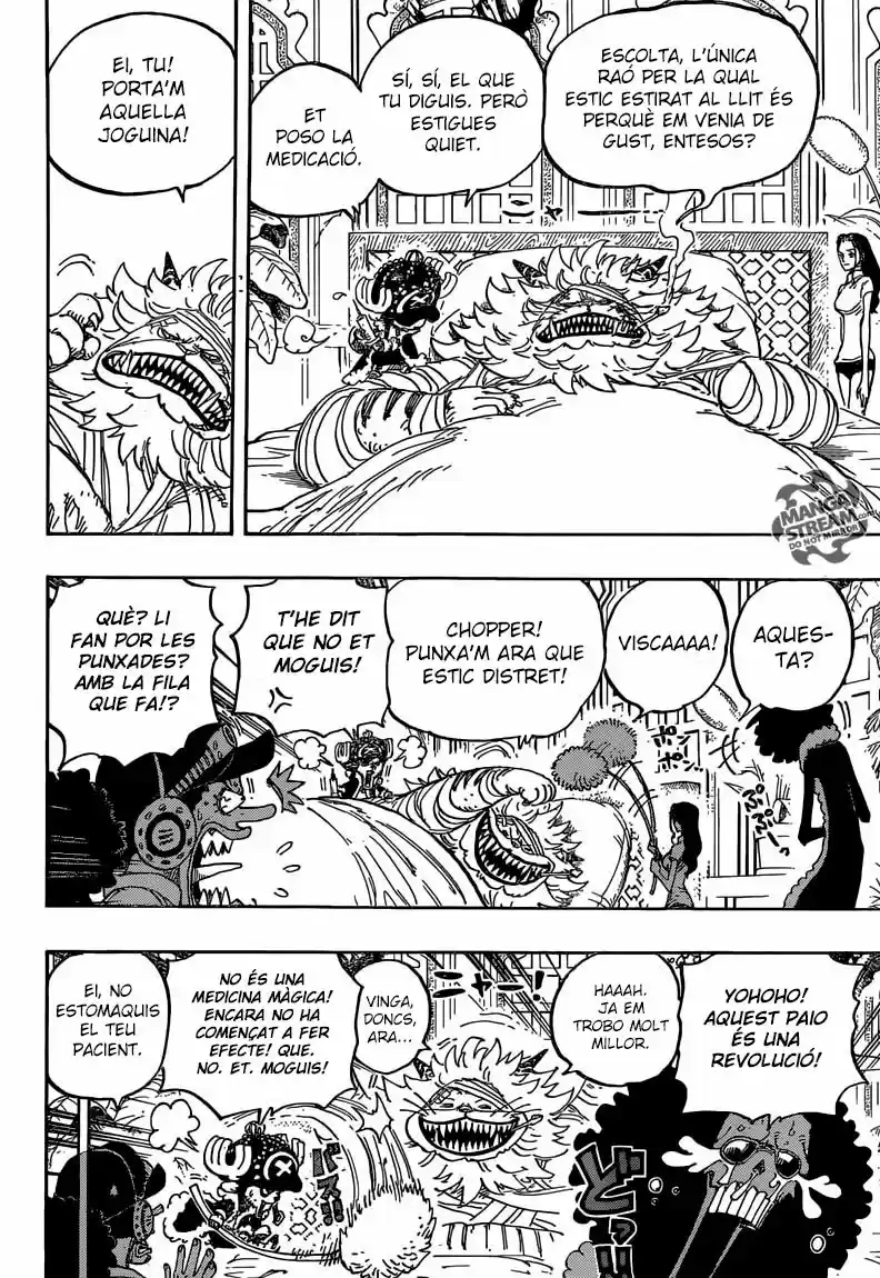 One Piece (Català) - Capítulo 814 - Página 15 - LectorTMOo
