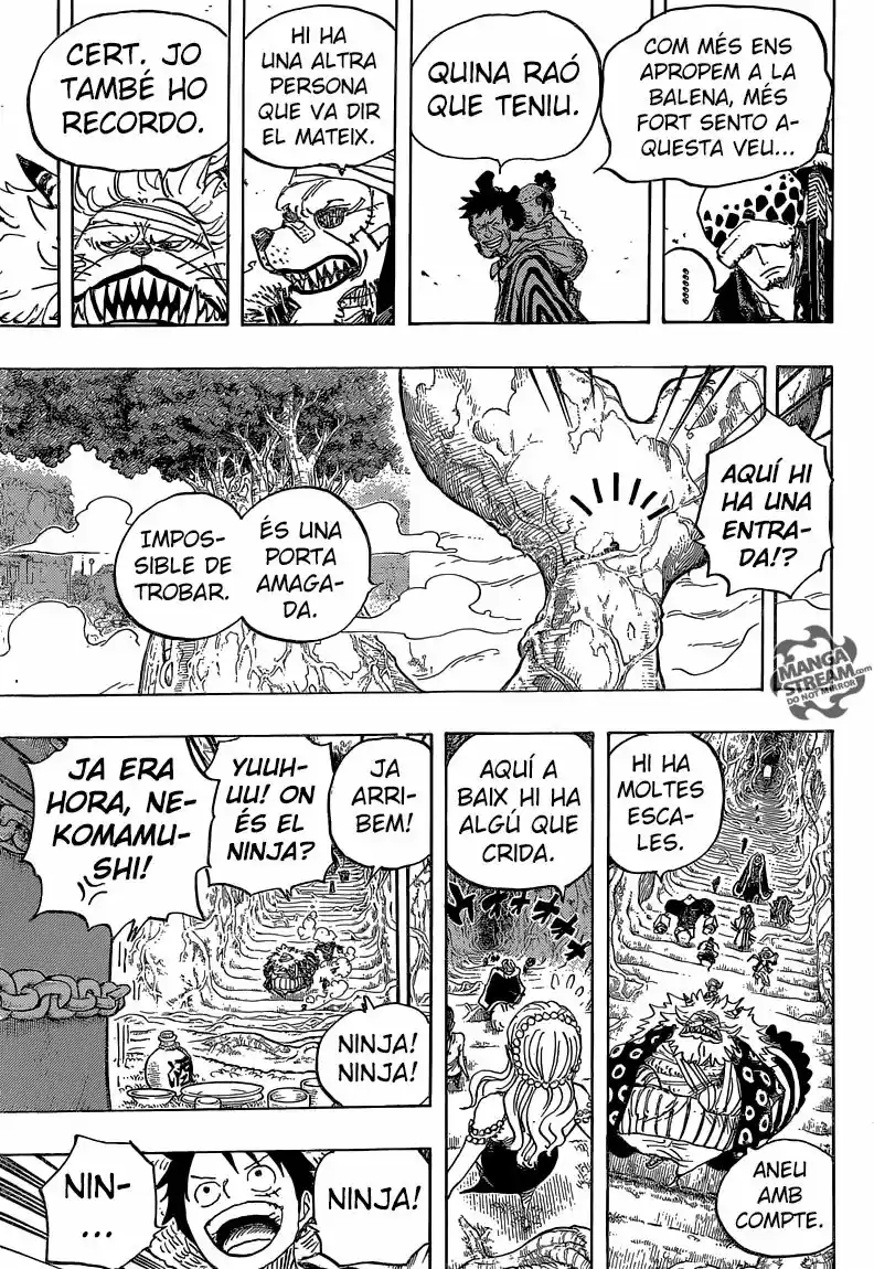 One Piece (Català) - Capítulo 817 - Página 13 - LectorTMOo