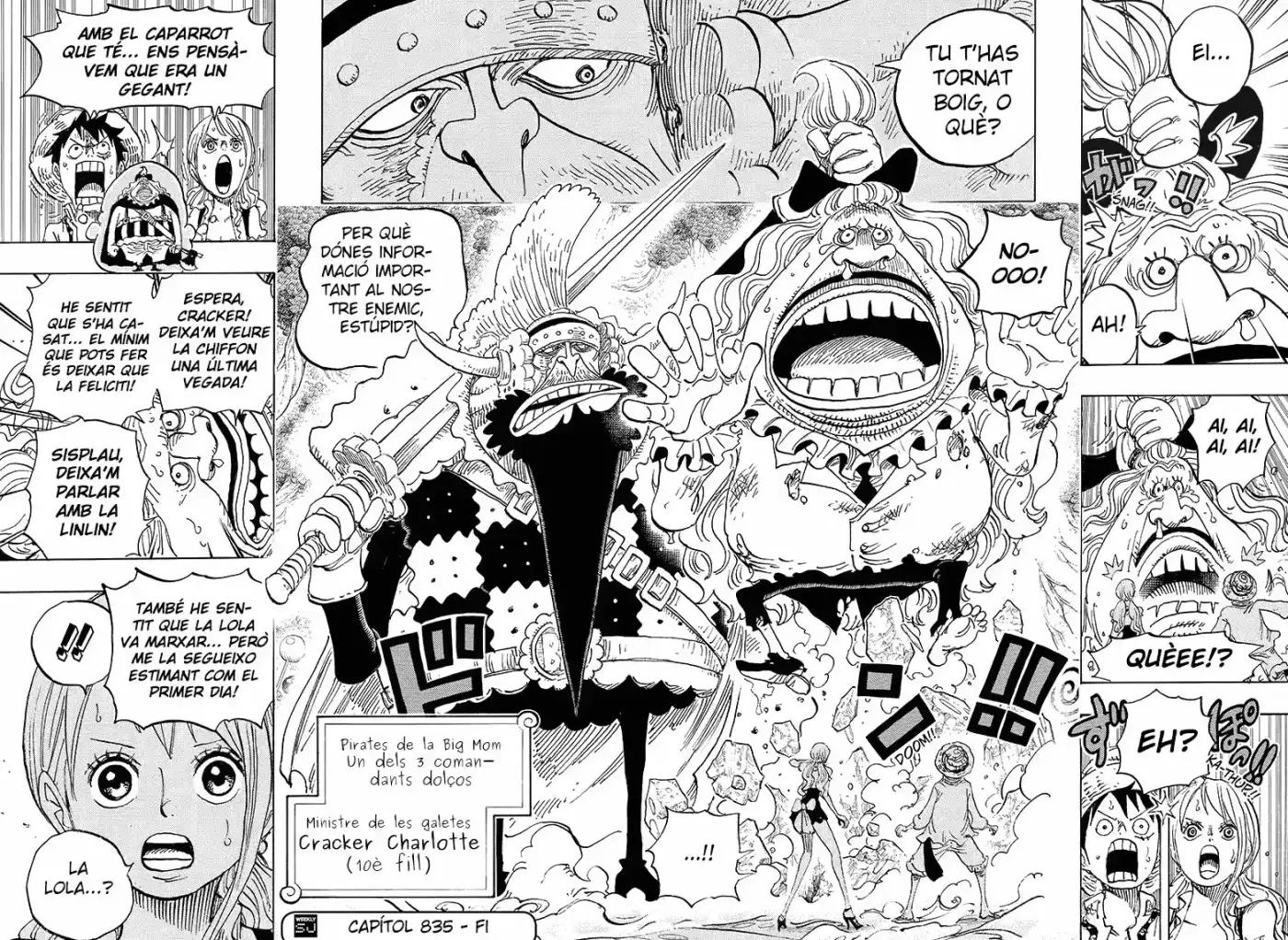 One Piece (Català) - Capítulo 835 - Página 17 - LectorTMOo