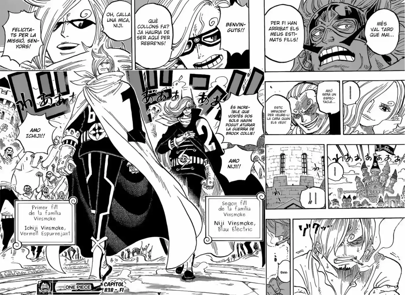 One Piece (Català) - Capítulo 838 - Página 14 - LectorTMOo