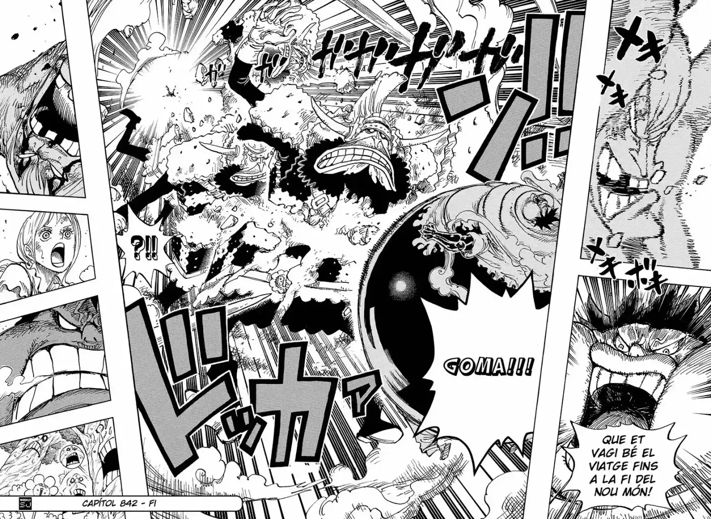 One Piece (Català) - Capítulo 842 - Página 13 - LectorTMOo