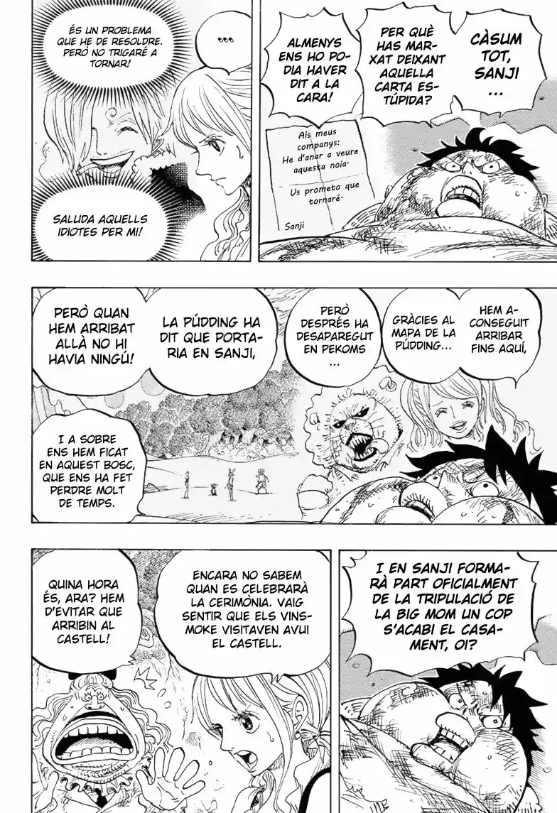 One Piece (Català) - Capítulo 843 - Página 7 - LectorTMOo