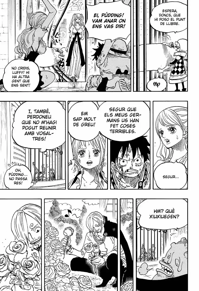One Piece (Català) - Capítulo 848 - Página 15 - LectorTMOo
